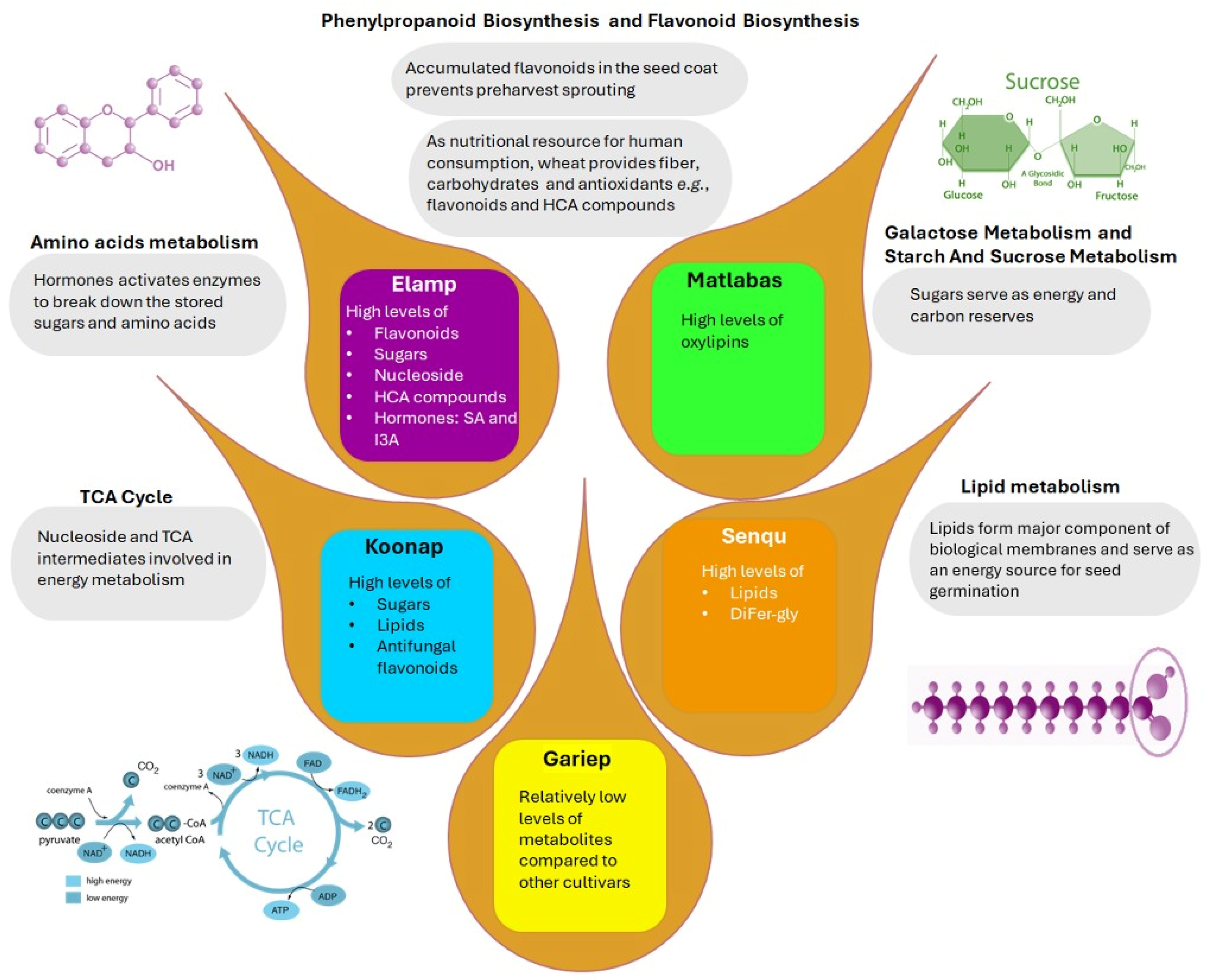 Metabolites 15 00603 g008