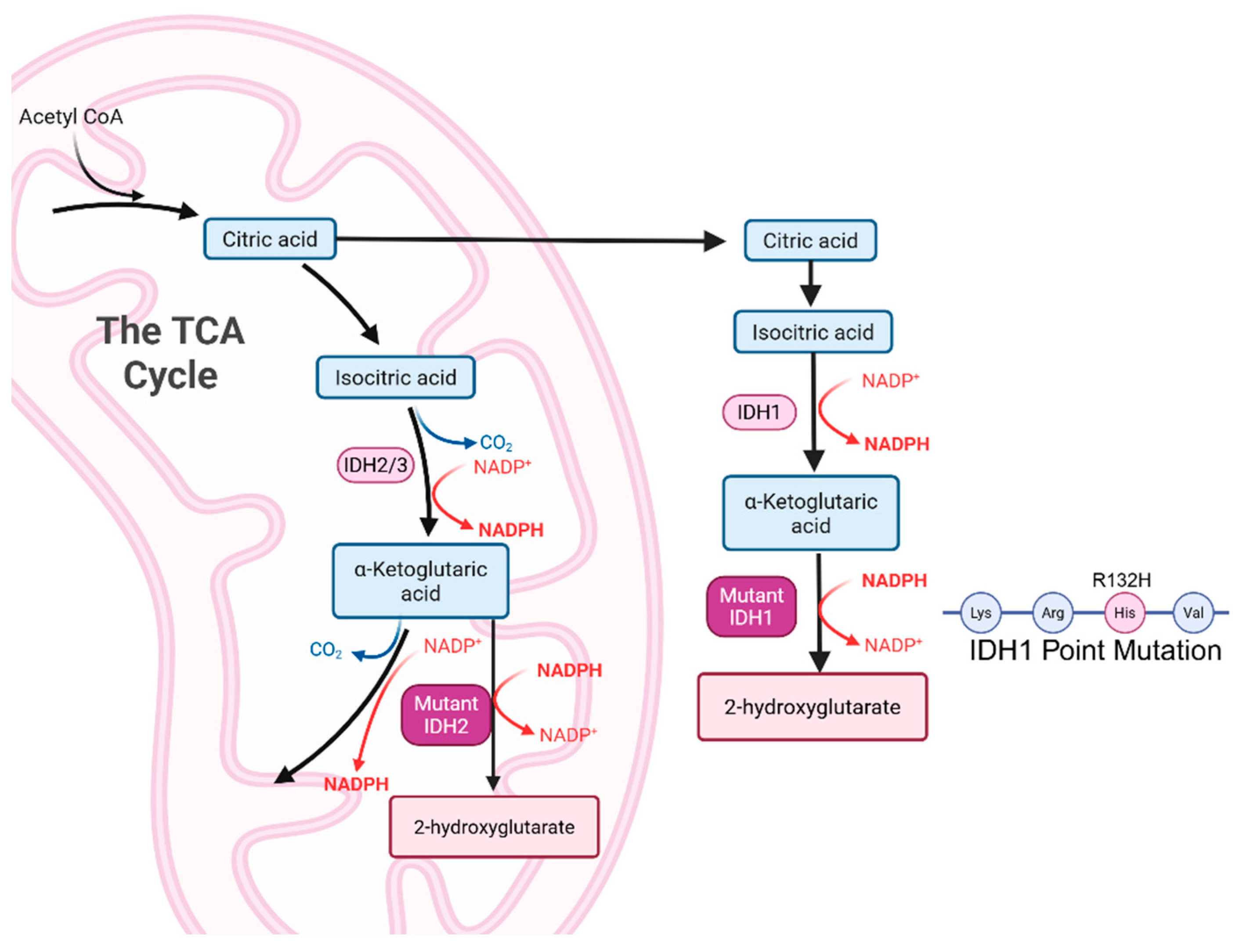 Metabolites 15 00607 g002 Metabolites 15 00607 g002