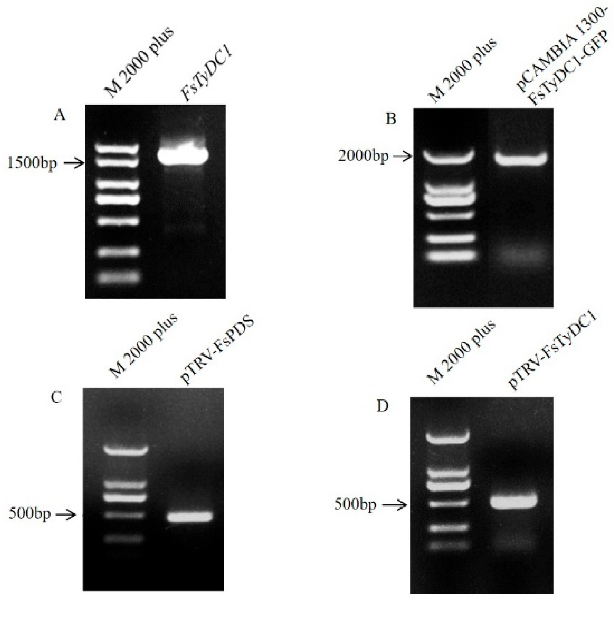 Metabolites 15 00628 g002 Metabolites 15 00628 g002