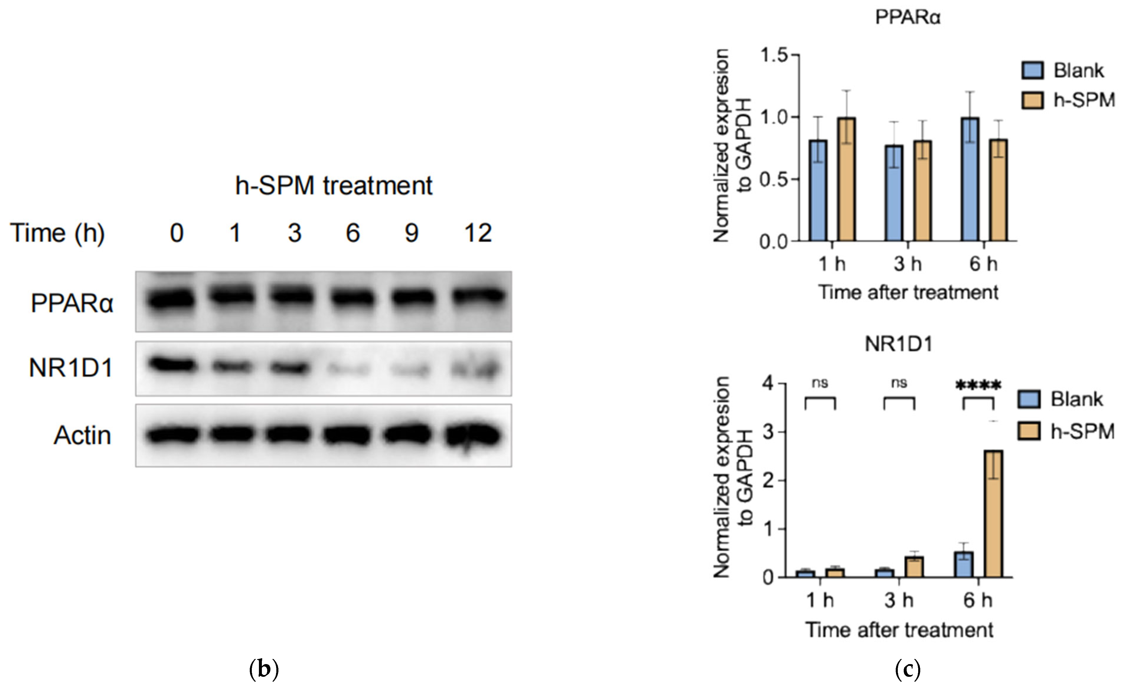 Metabolites 15 00647 g007b