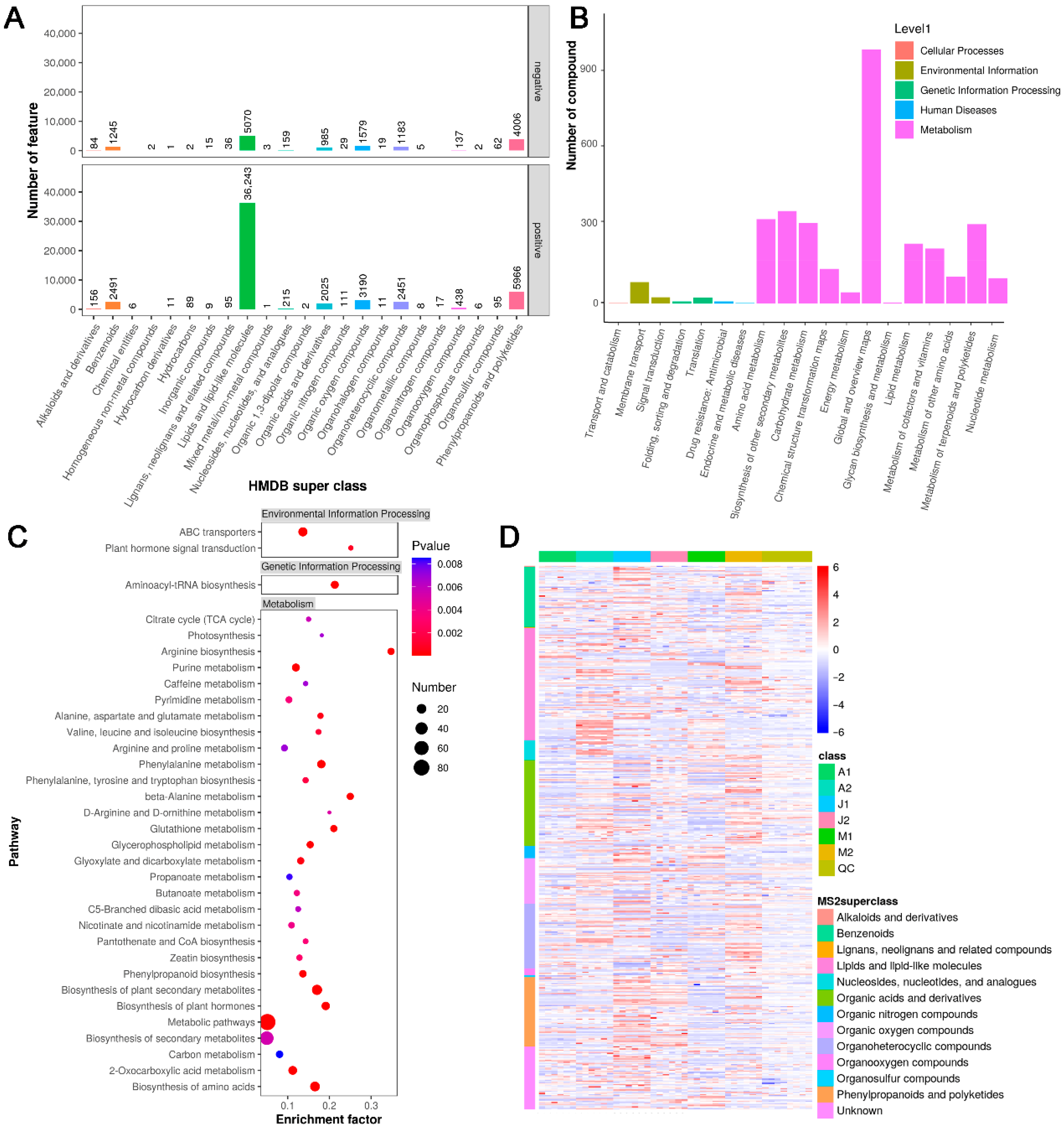 Metabolites 15 00648 g002