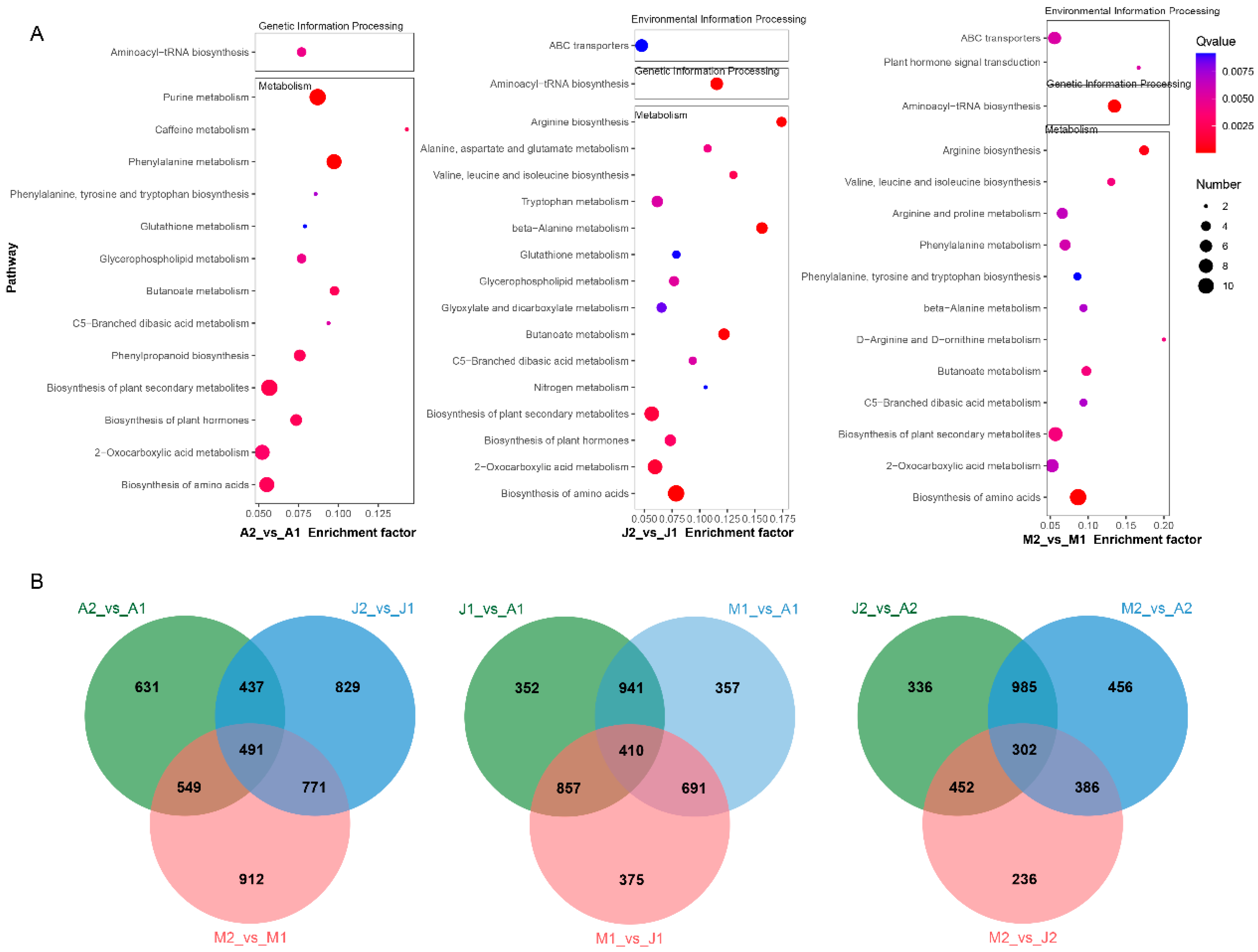 Metabolites 15 00648 g004