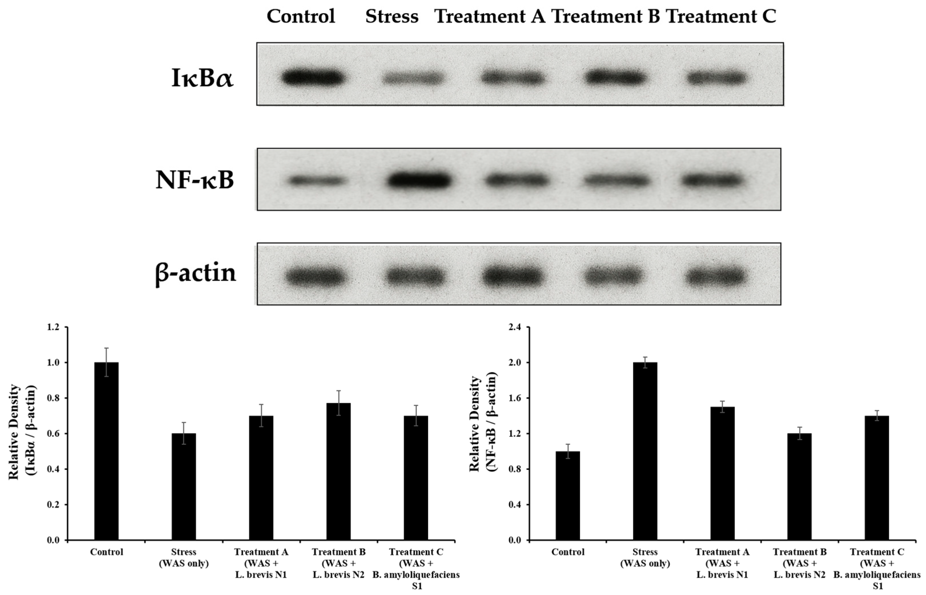 Metabolites 15 00677 g009 Metabolites 15 00677 g009