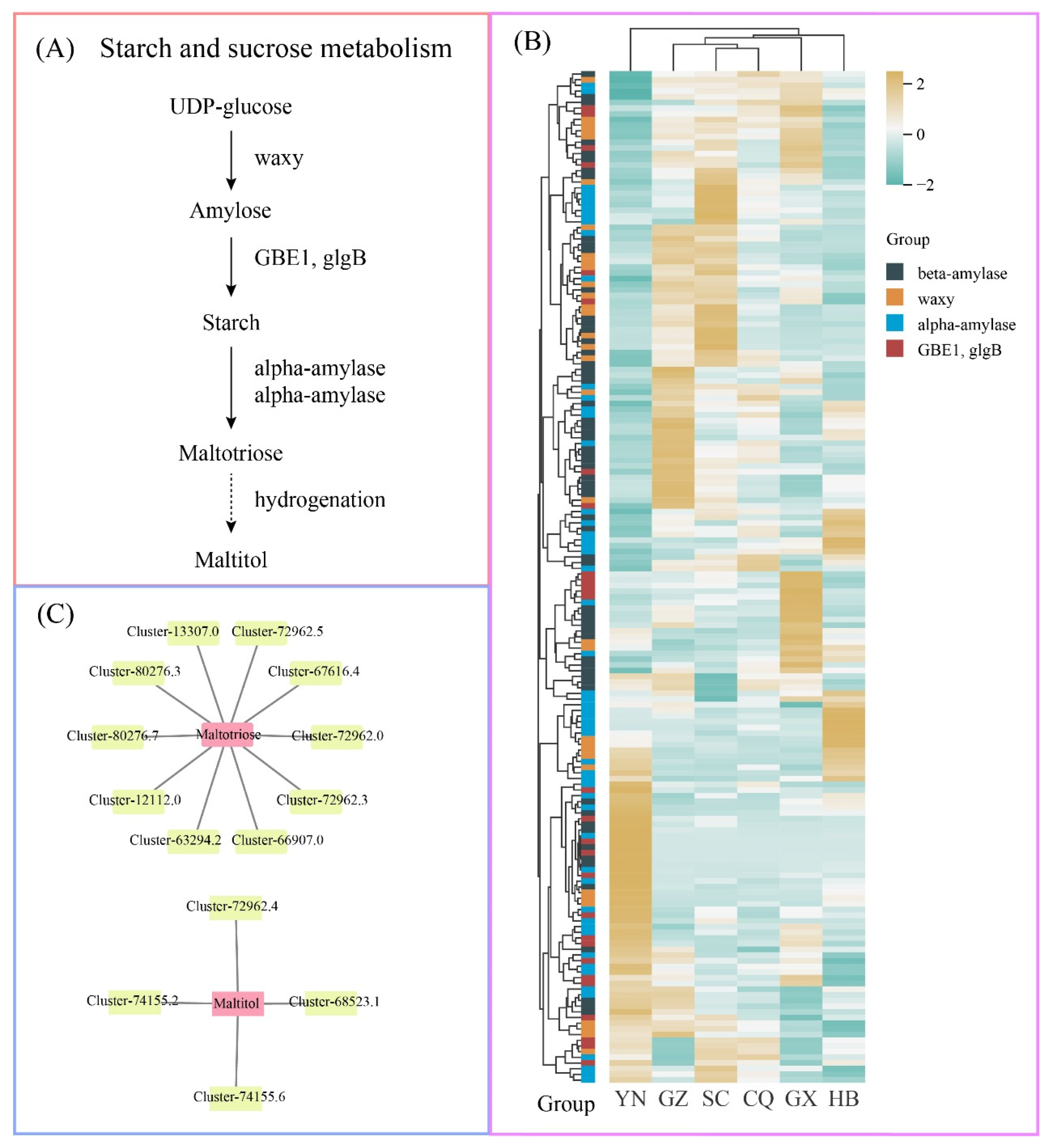 Metabolites 15 00701 g008
