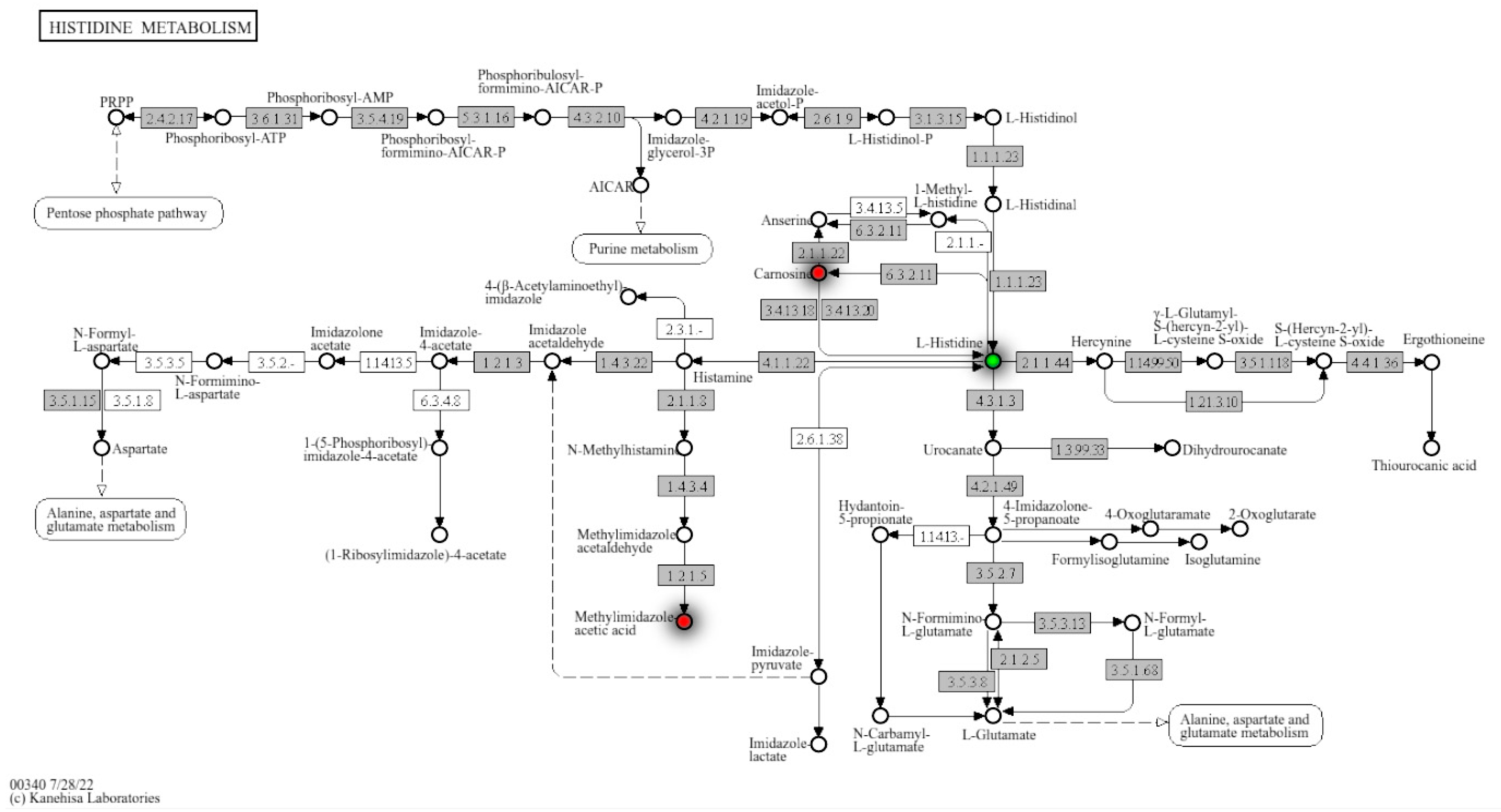 Metabolites 15 00757 g003