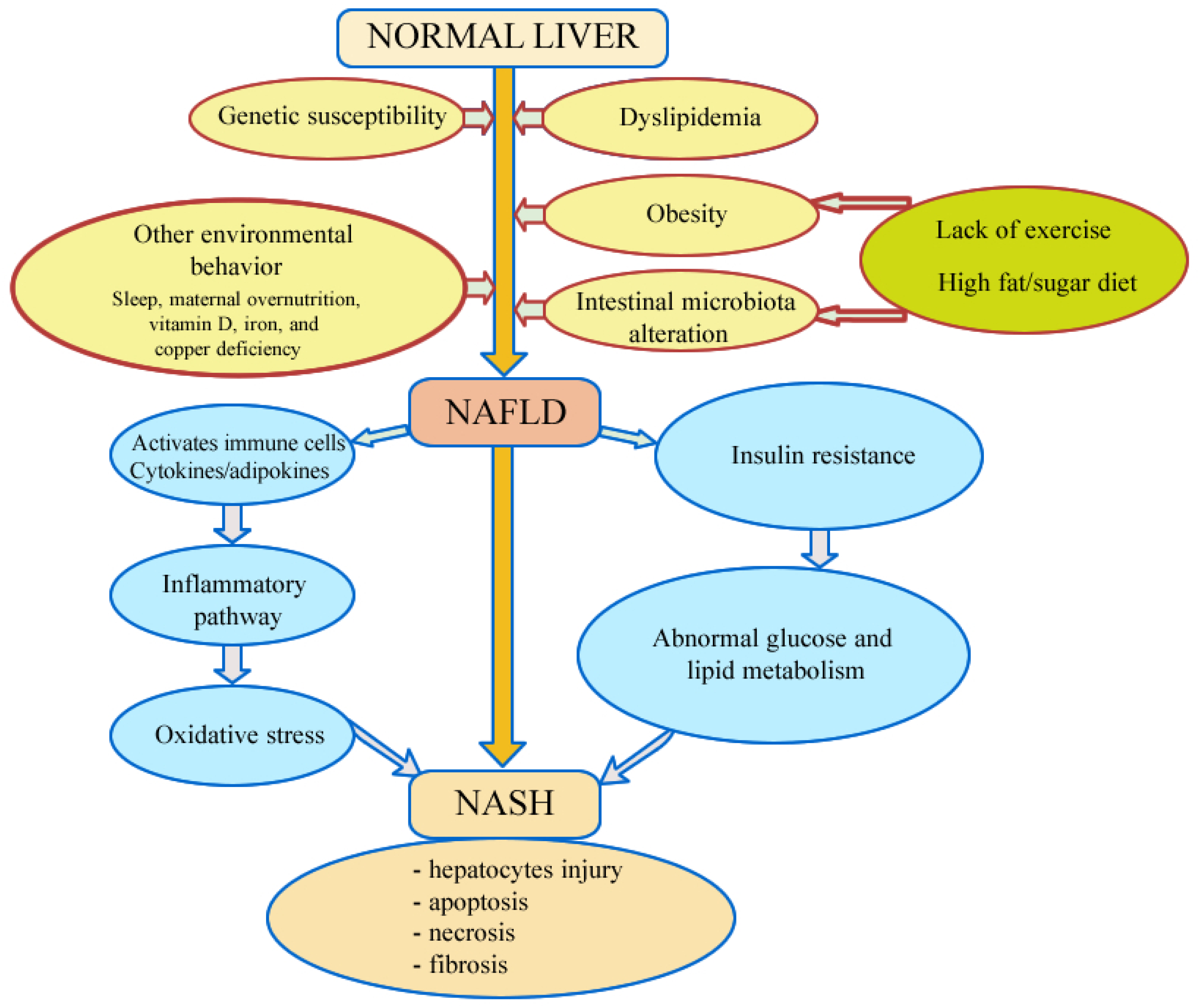 Metabolites 15 00792 g002