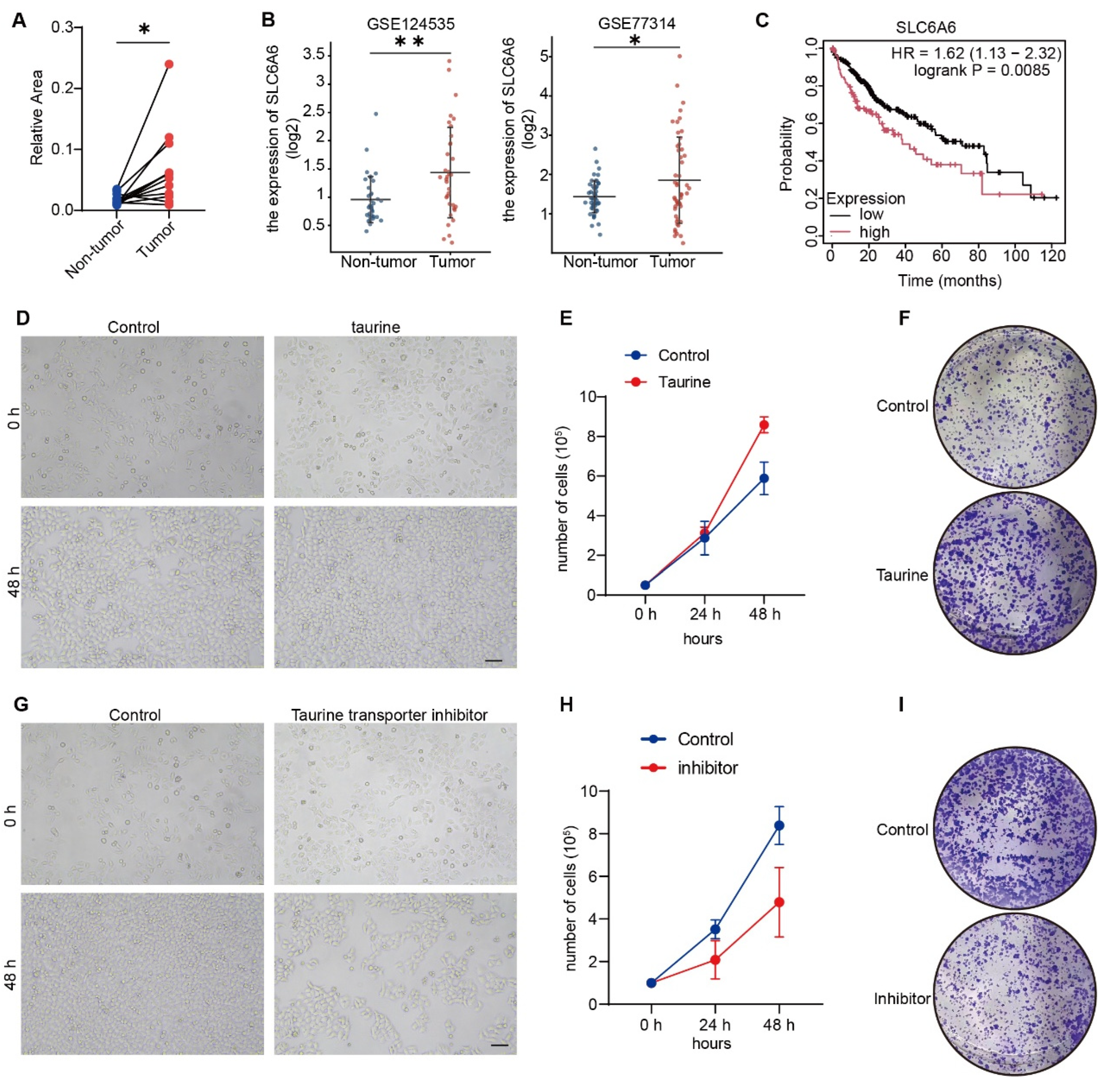 Metabolites 16 00006 g001