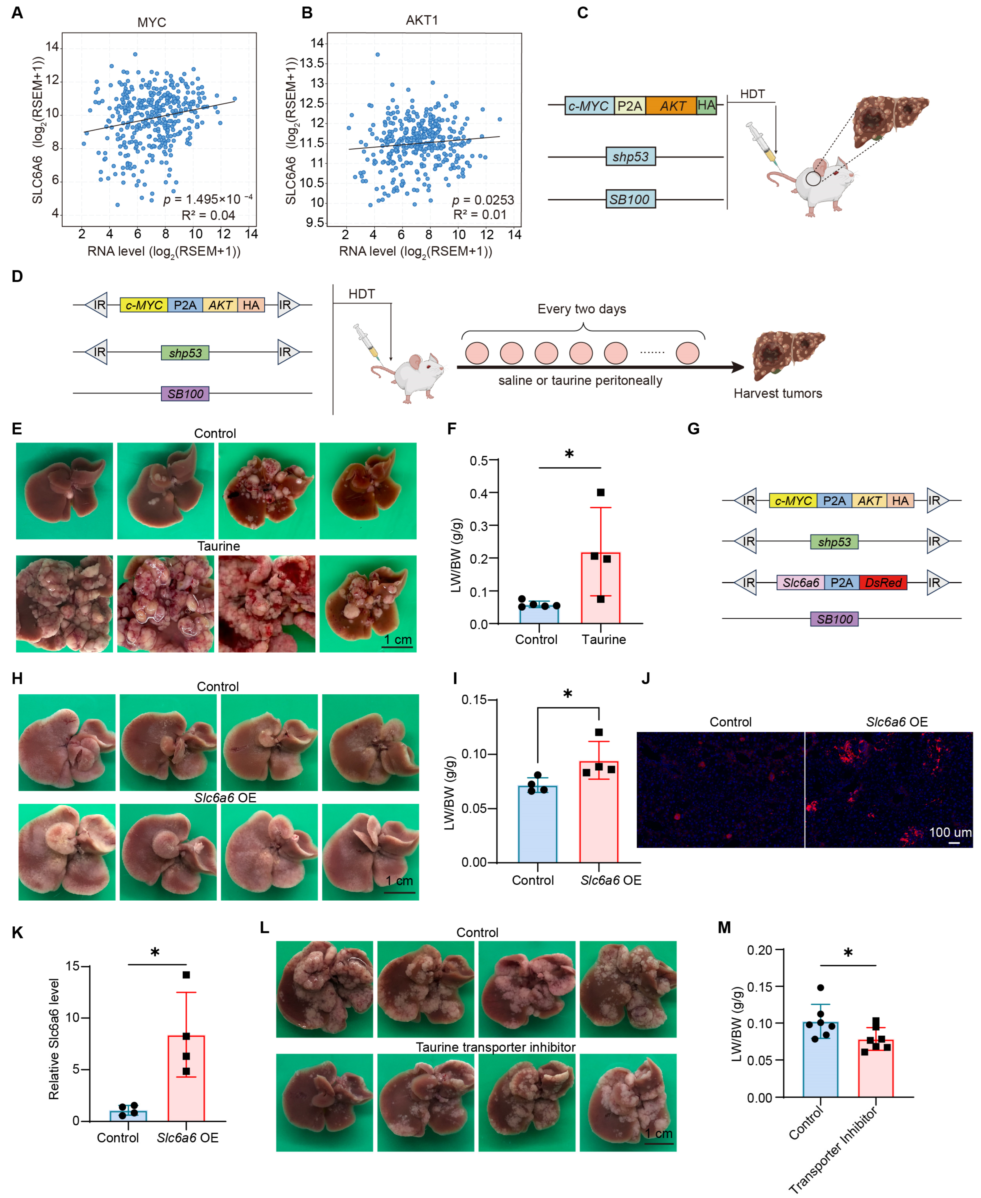 Metabolites 16 00006 g002