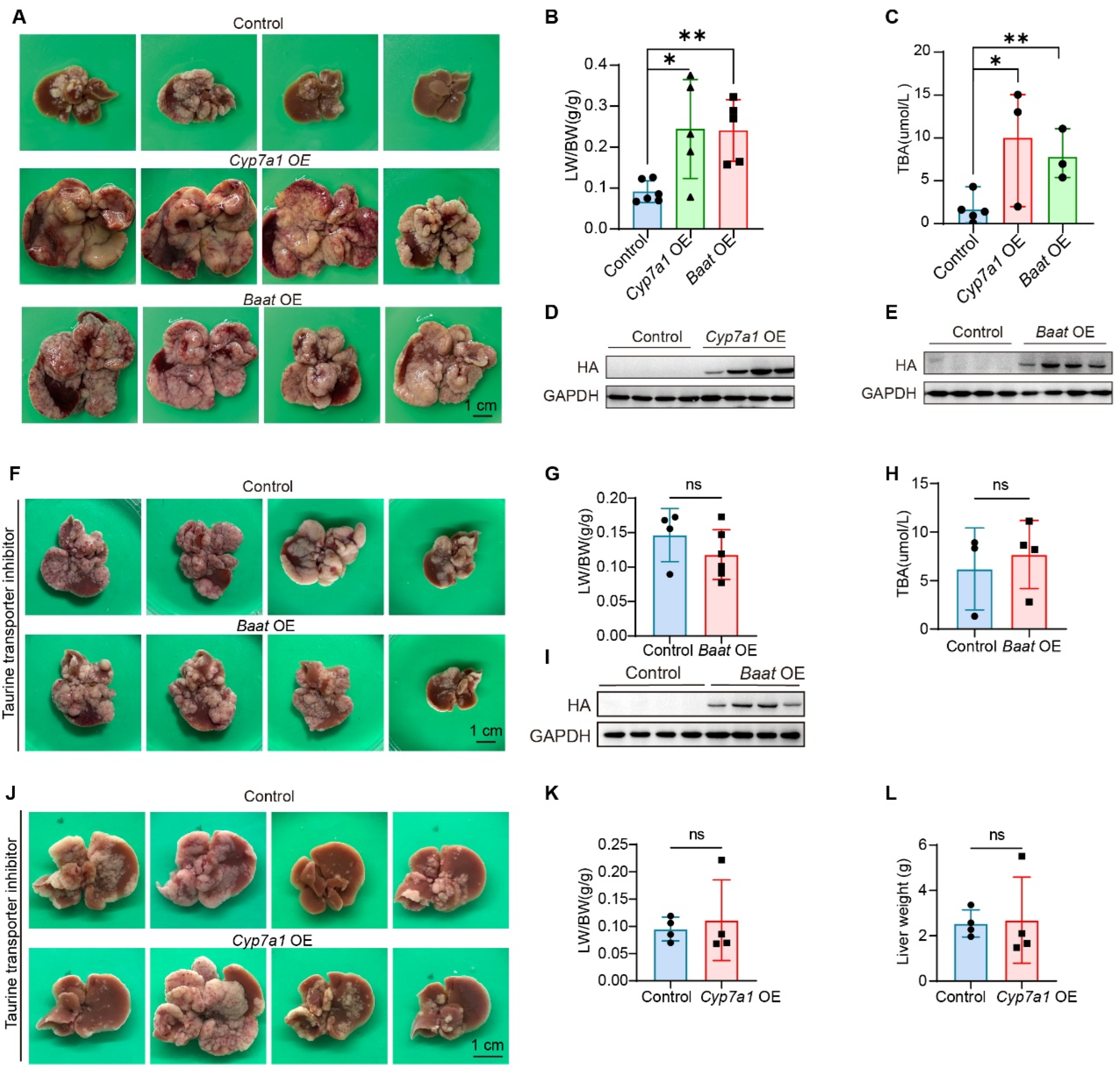 Metabolites 16 00006 g004