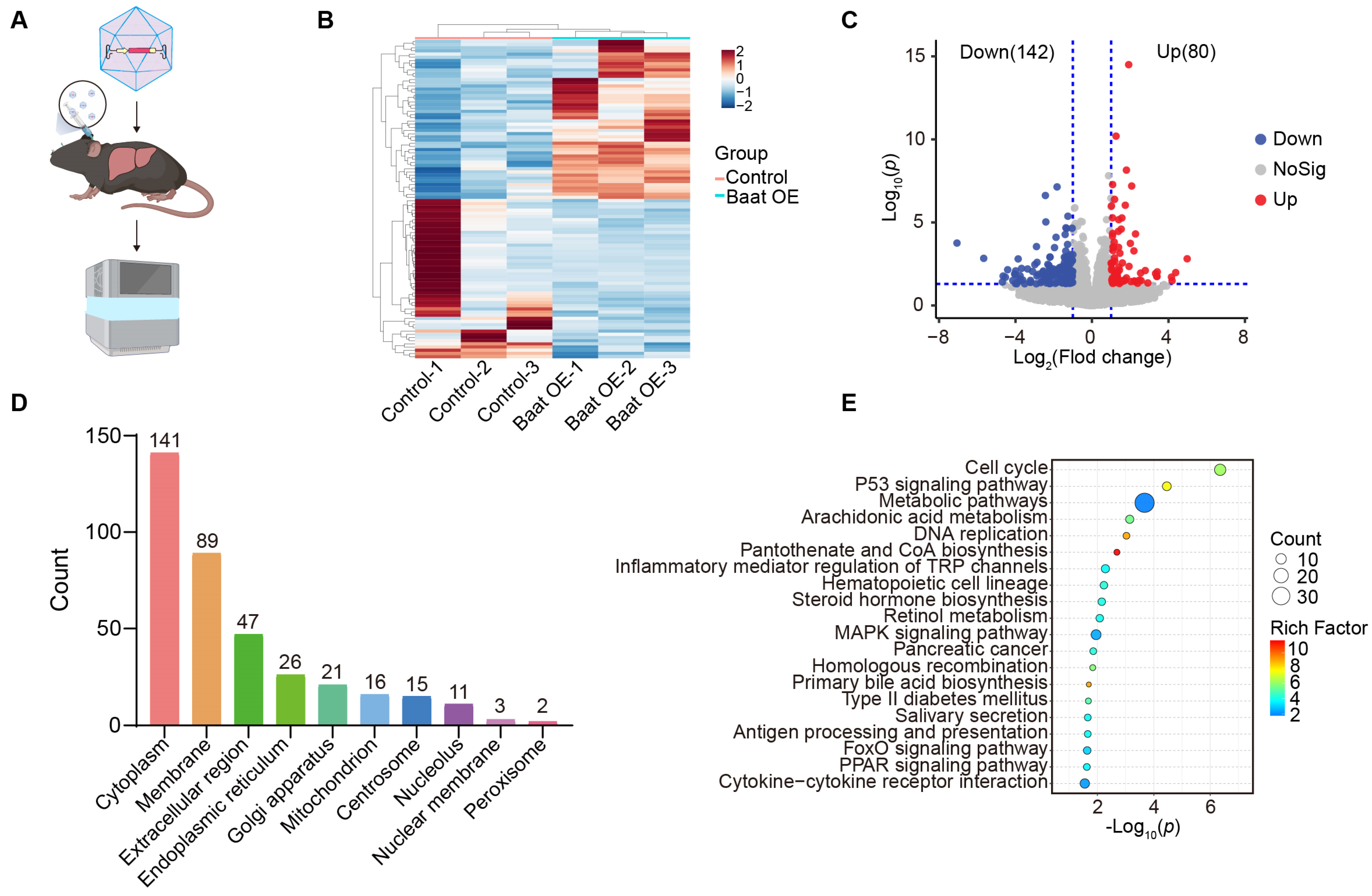 Metabolites 16 00006 g005