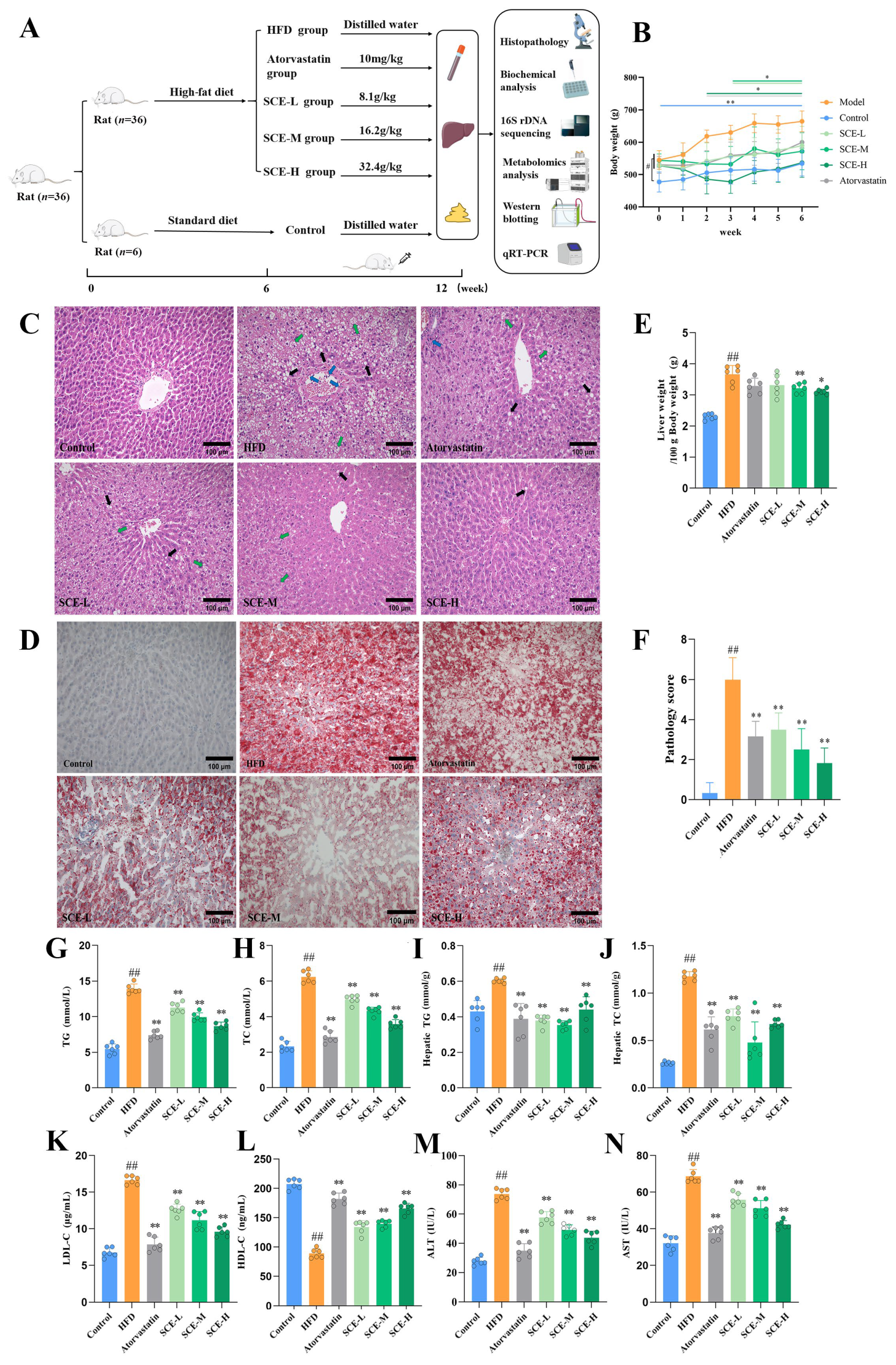 Metabolites 16 00031 g002