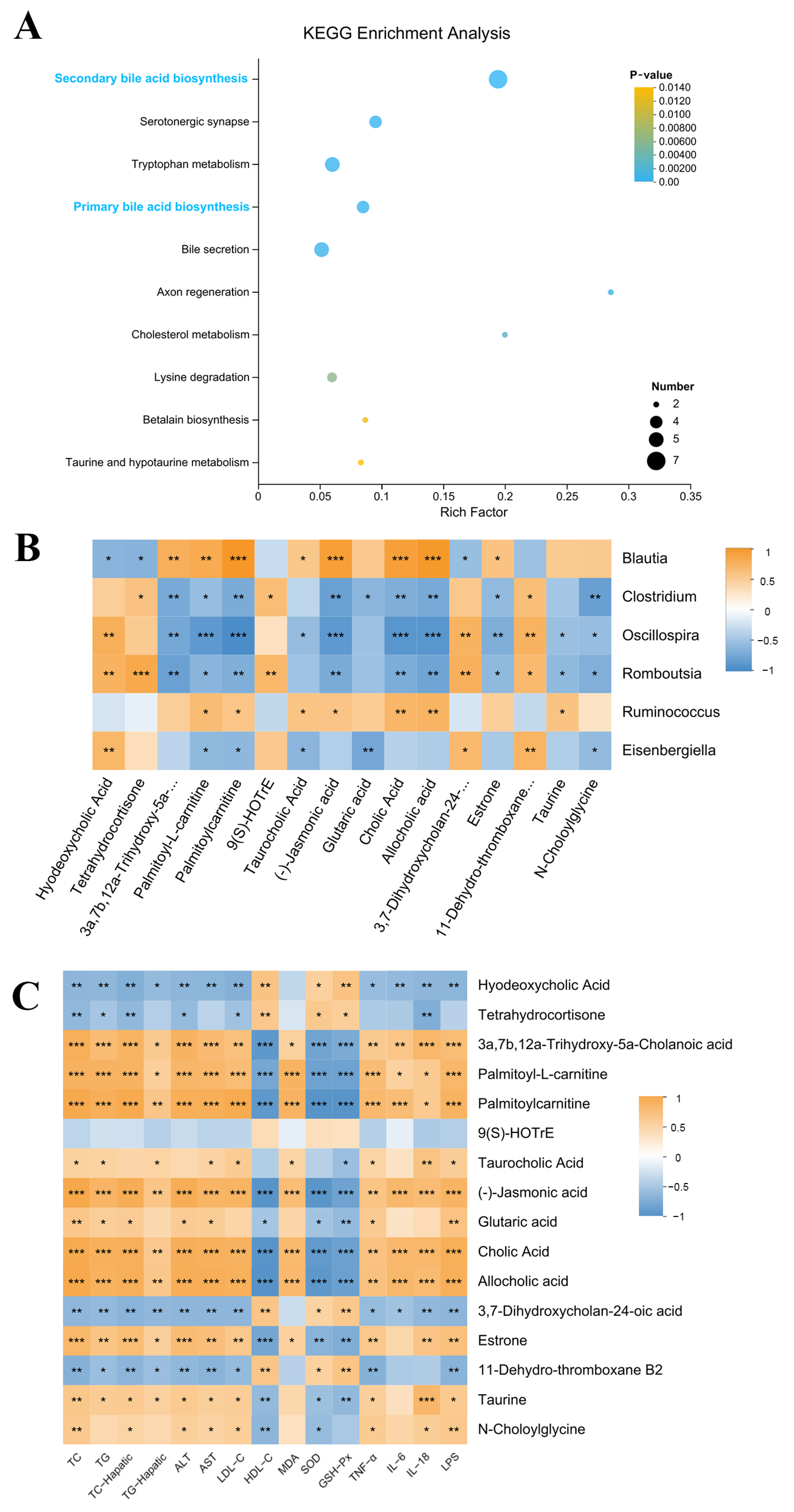 Metabolites 16 00031 g007