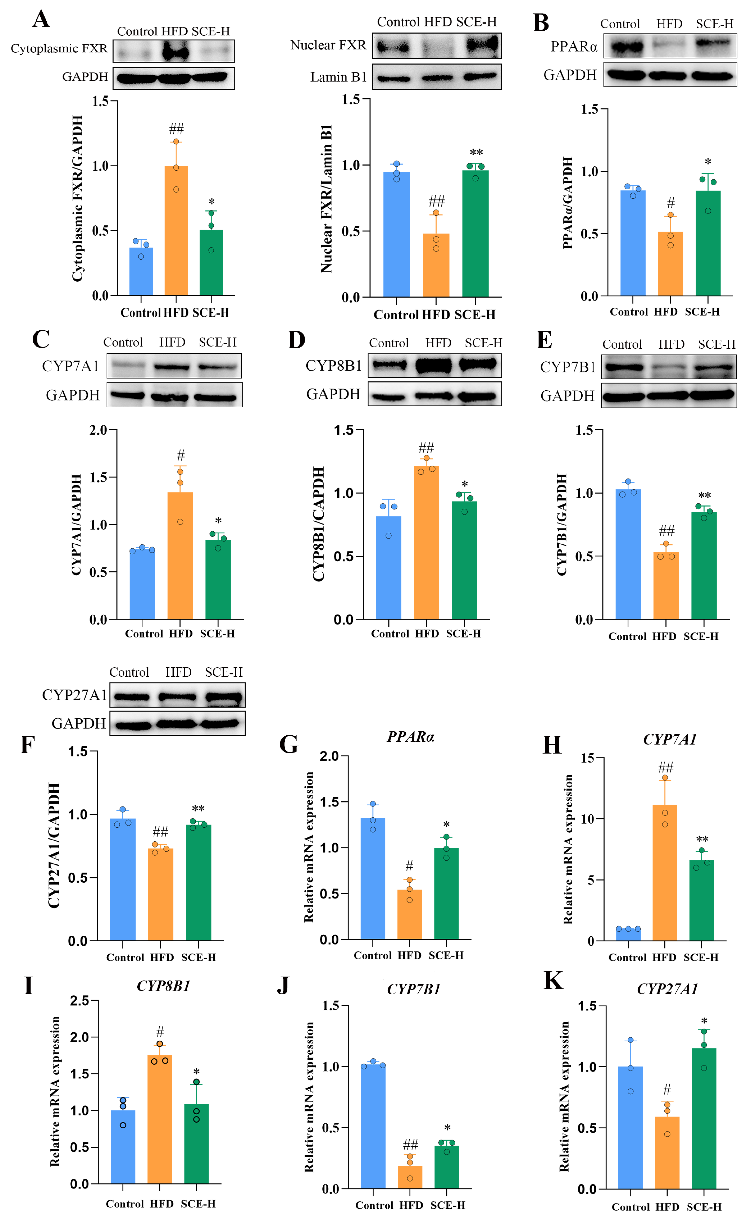 Metabolites 16 00031 g009