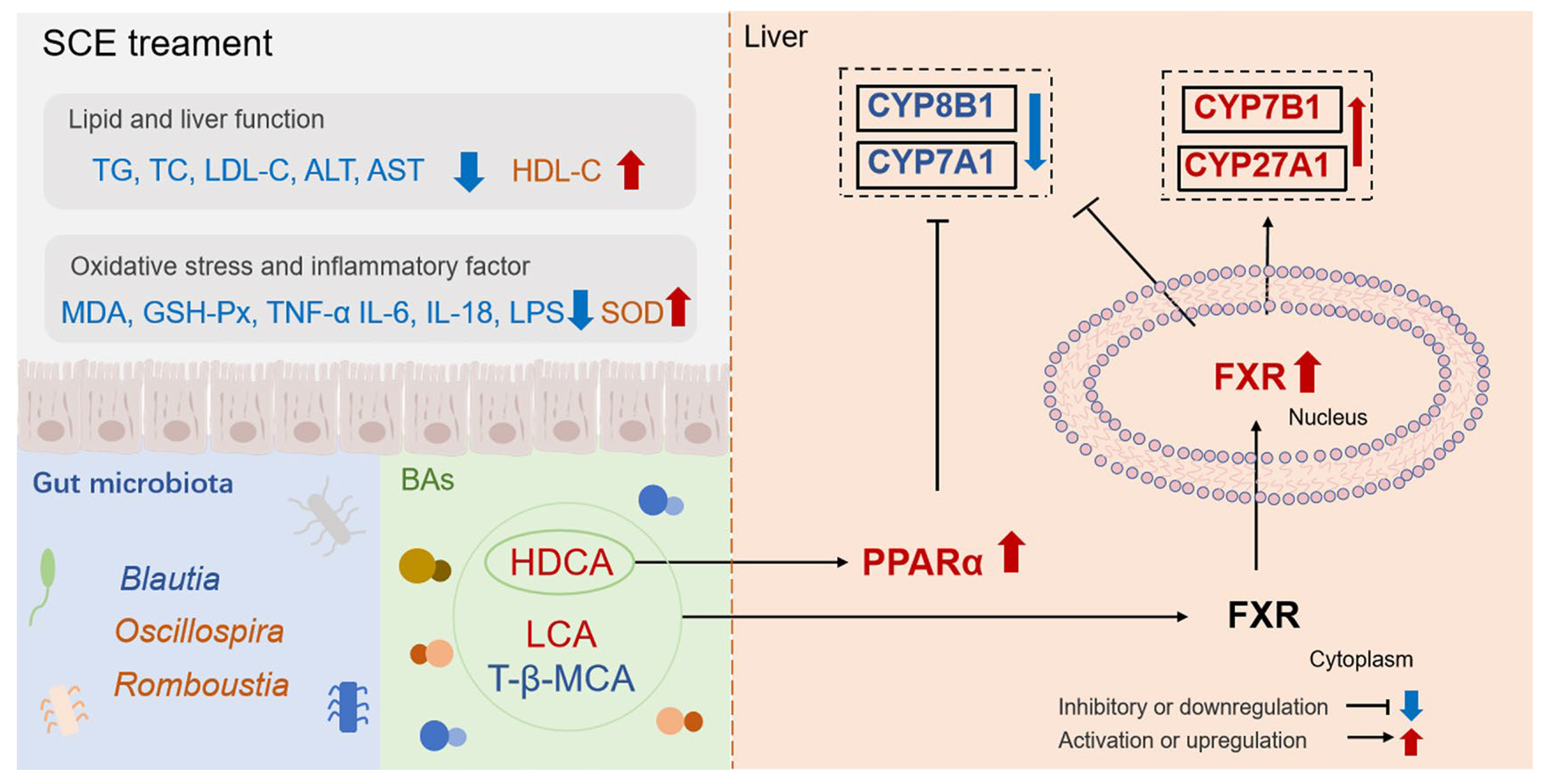 Metabolites 16 00031 g010