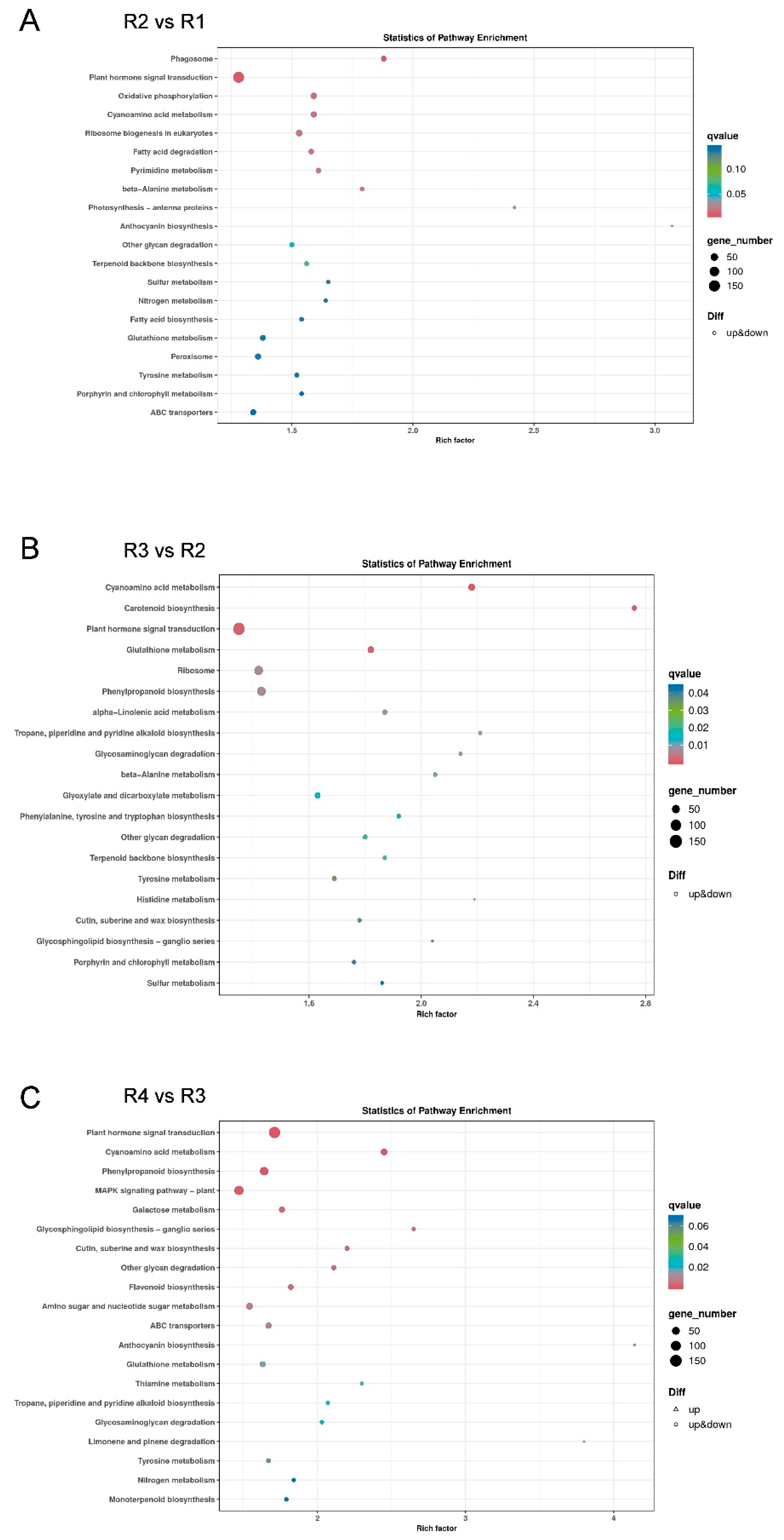 Metabolites 16 00032 g006 Metabolites 16 00032 g006