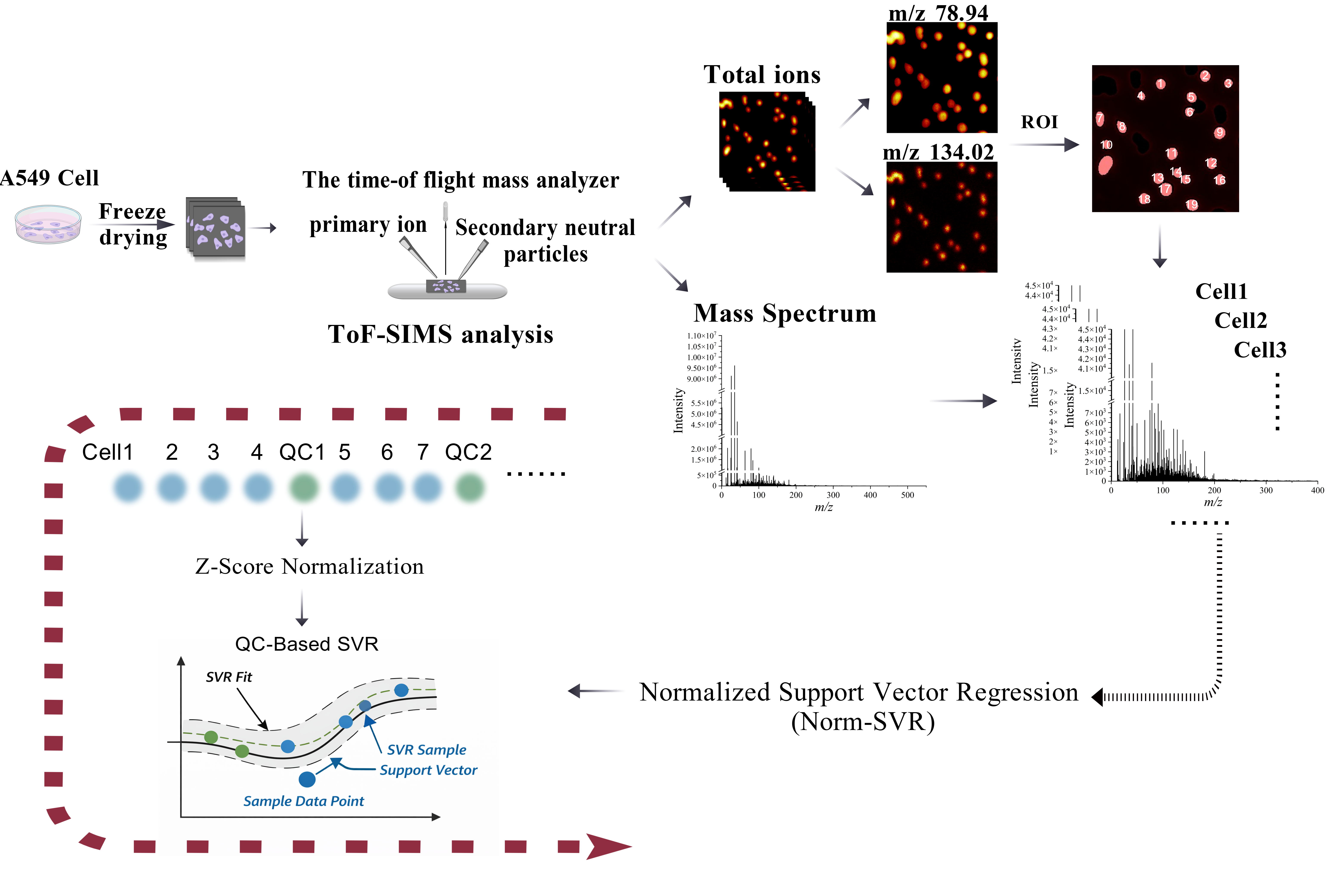 Metabolites 16 00036 g001