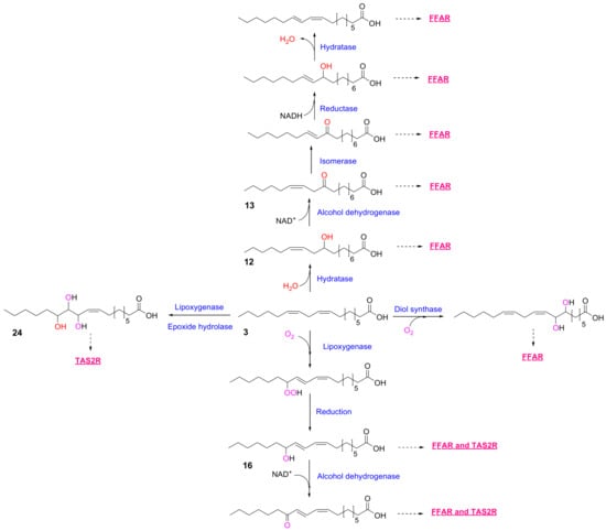 Metabolites 16 00045 g001