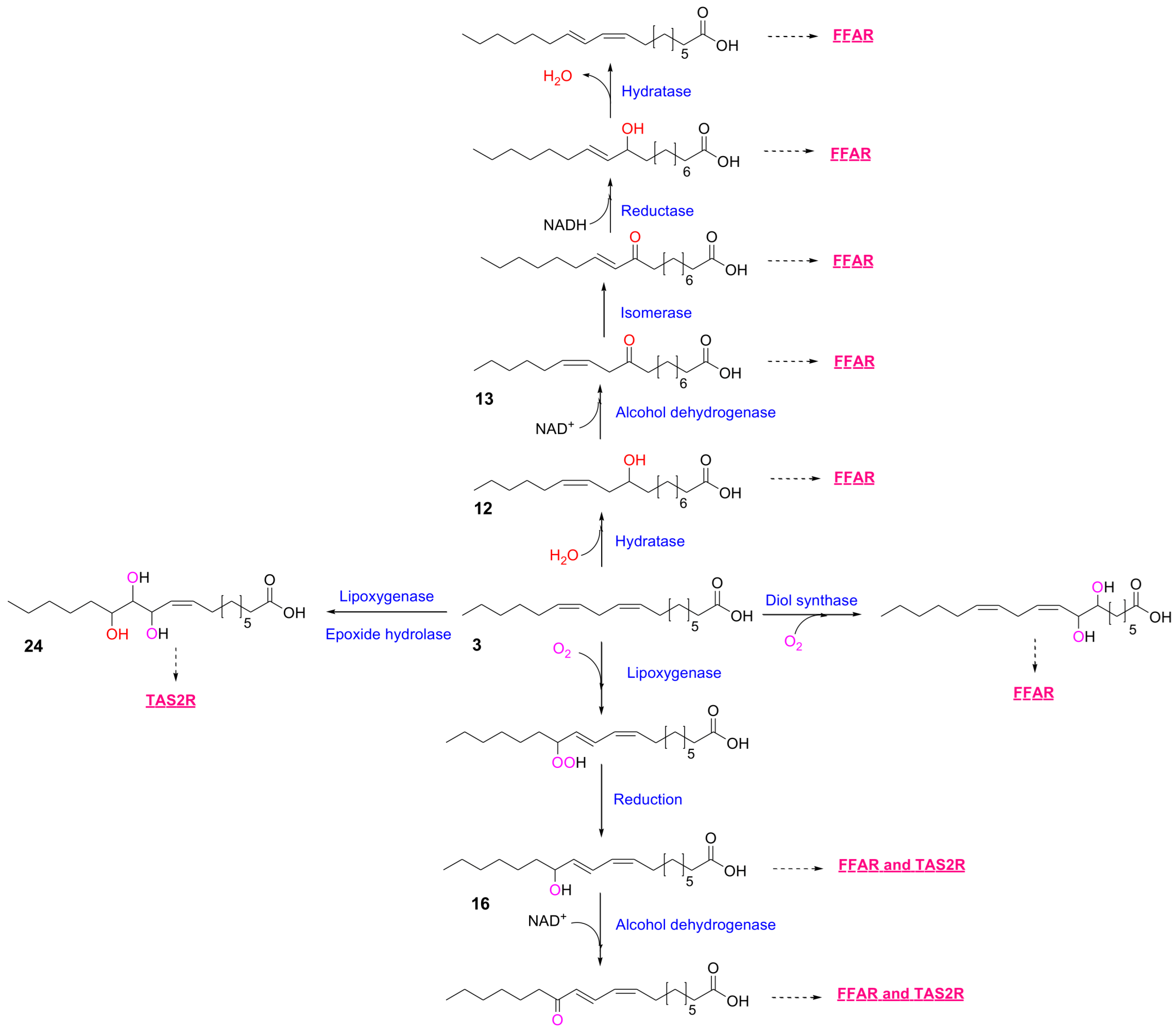 Metabolites 16 00045 g001
