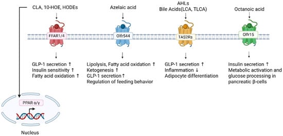 Metabolites 16 00045 g002