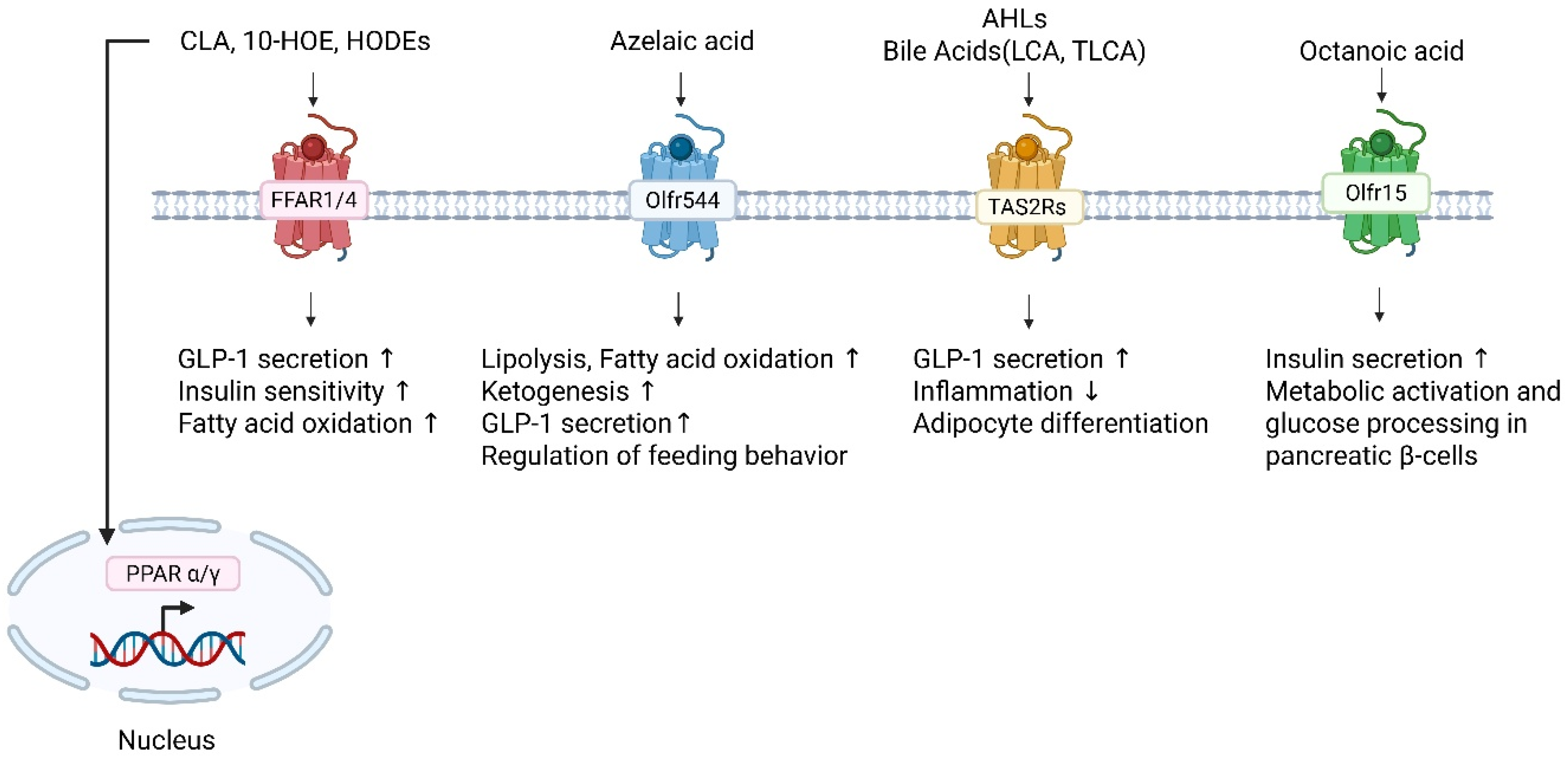 Metabolites 16 00045 g002