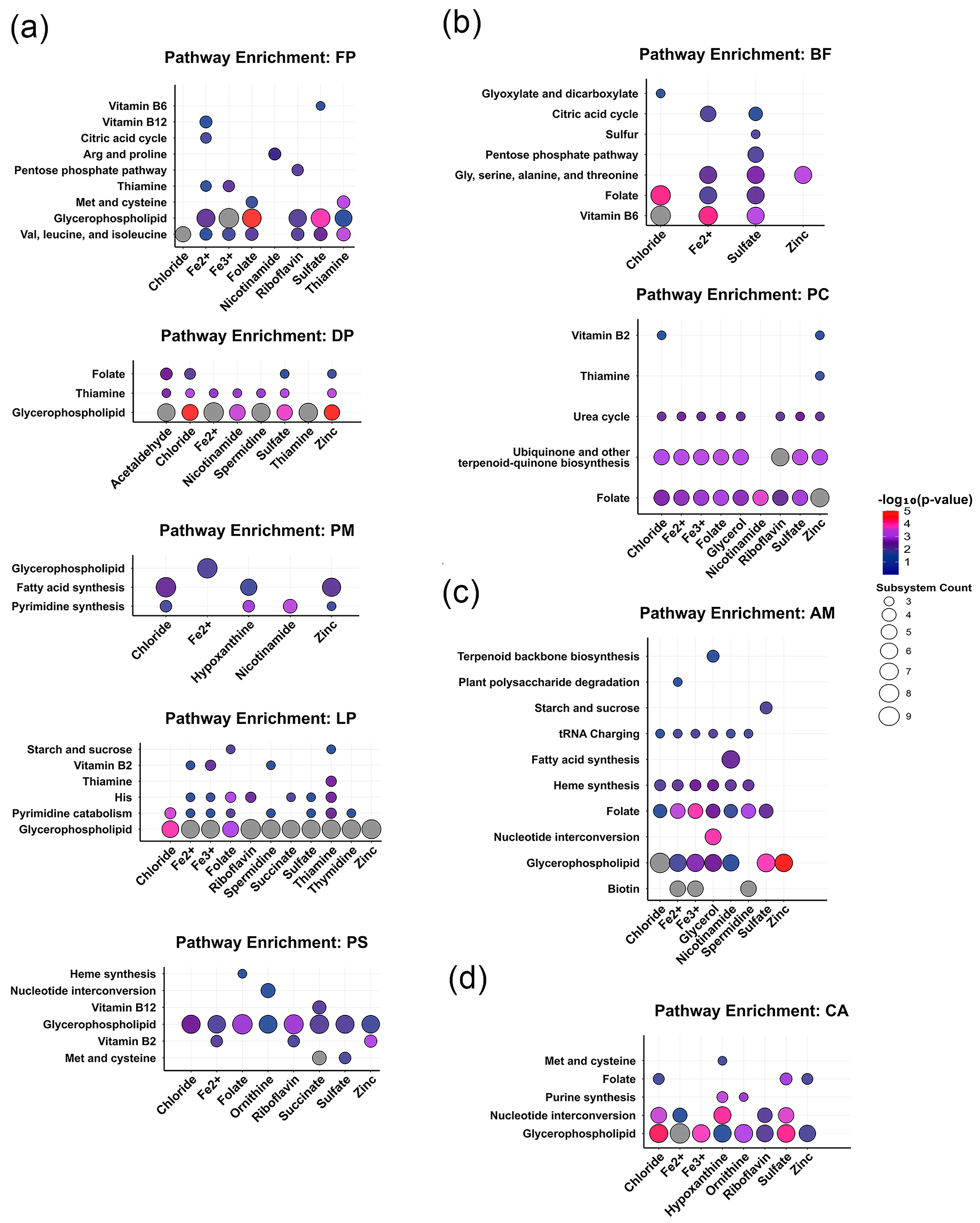 Metabolites 16 00064 g005