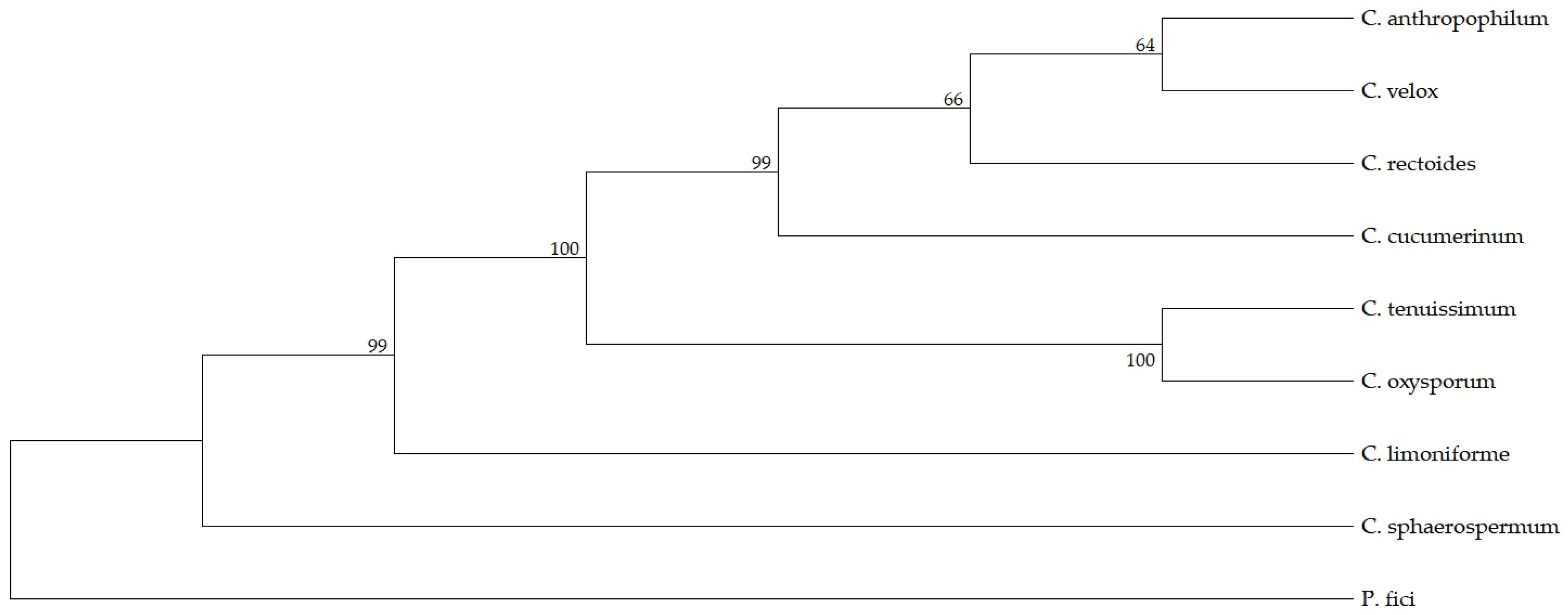 Metabolites 16 00077 g003 Metabolites 16 00077 g003
