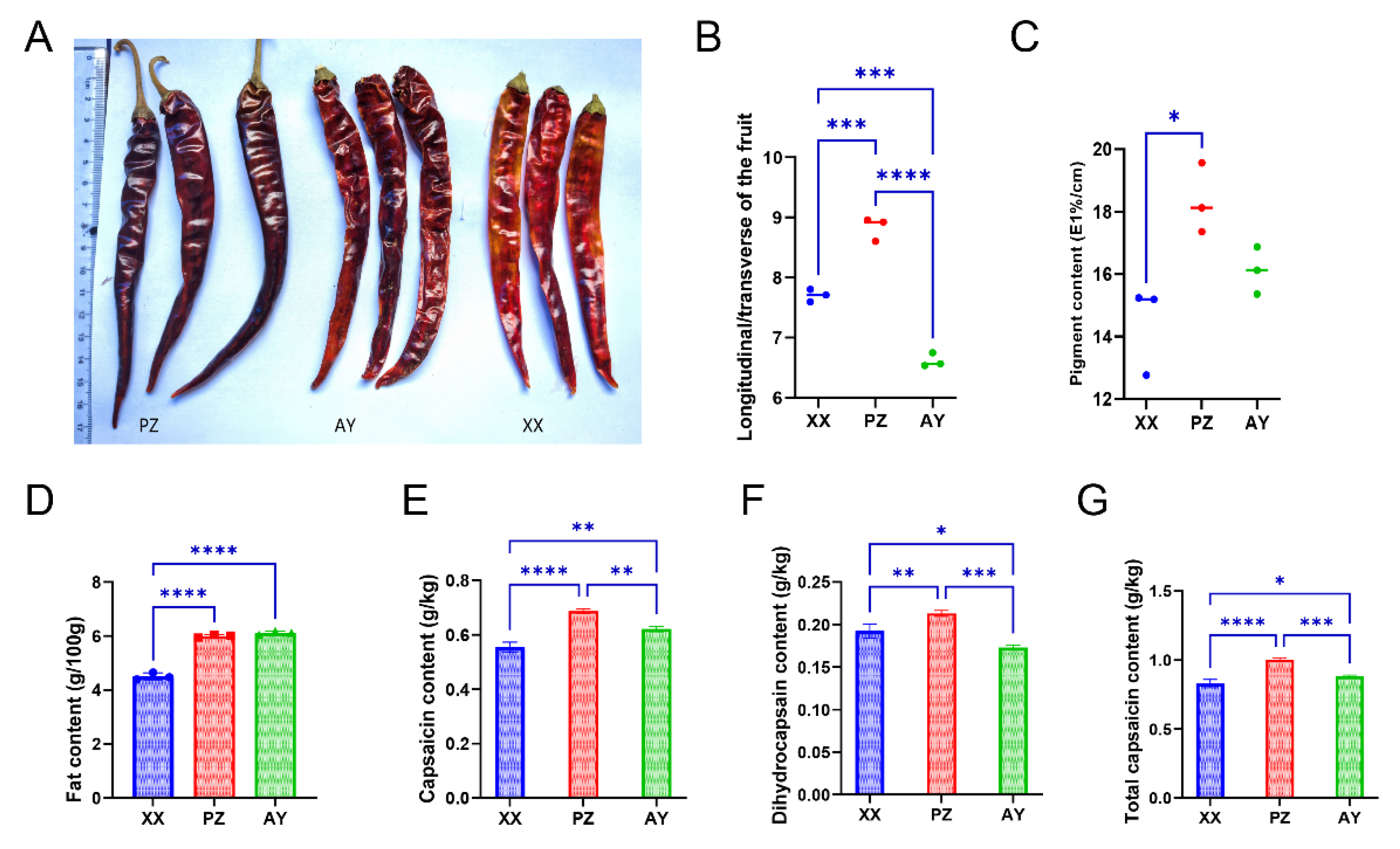 Metabolites 16 00085 g001