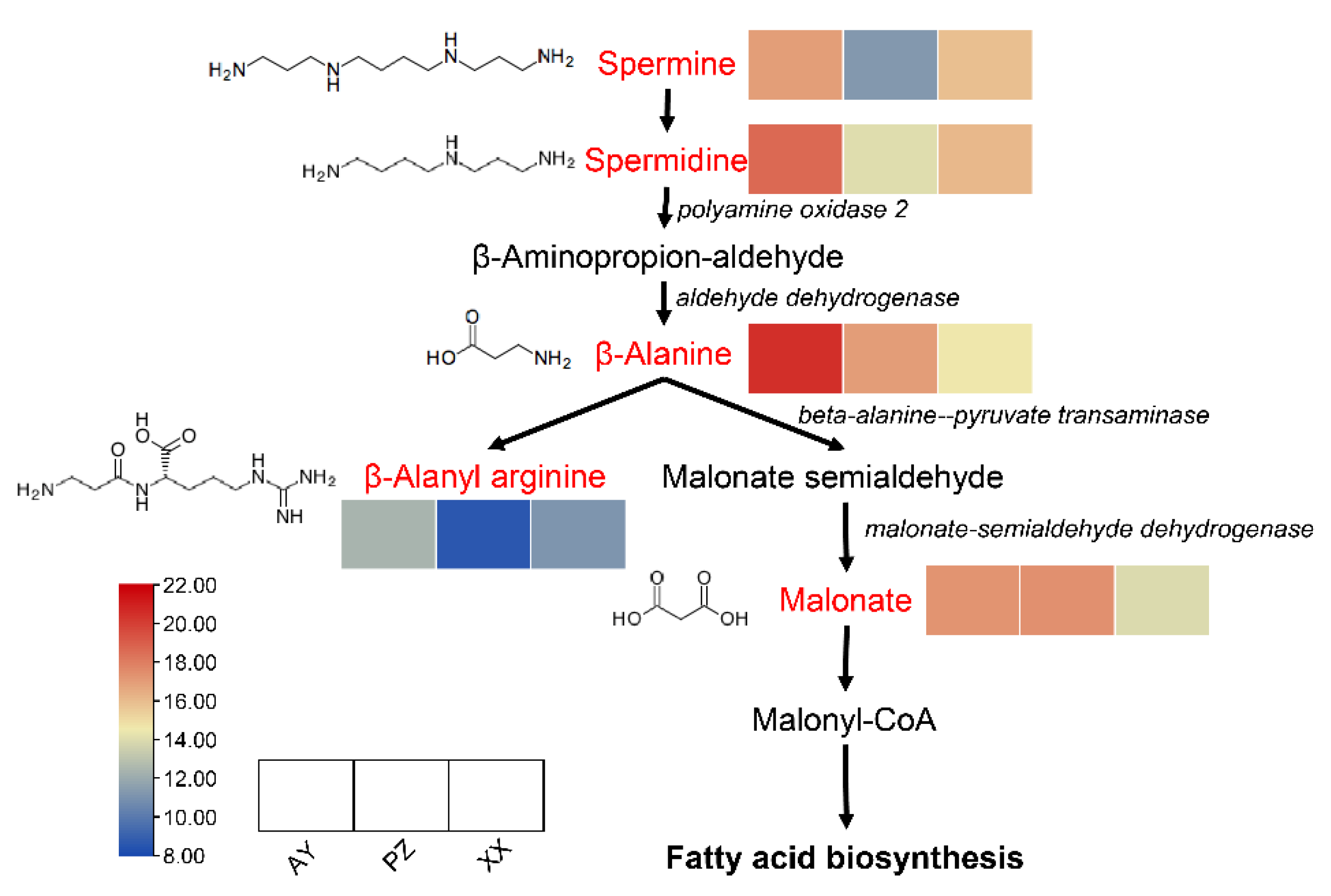 Metabolites 16 00085 g007