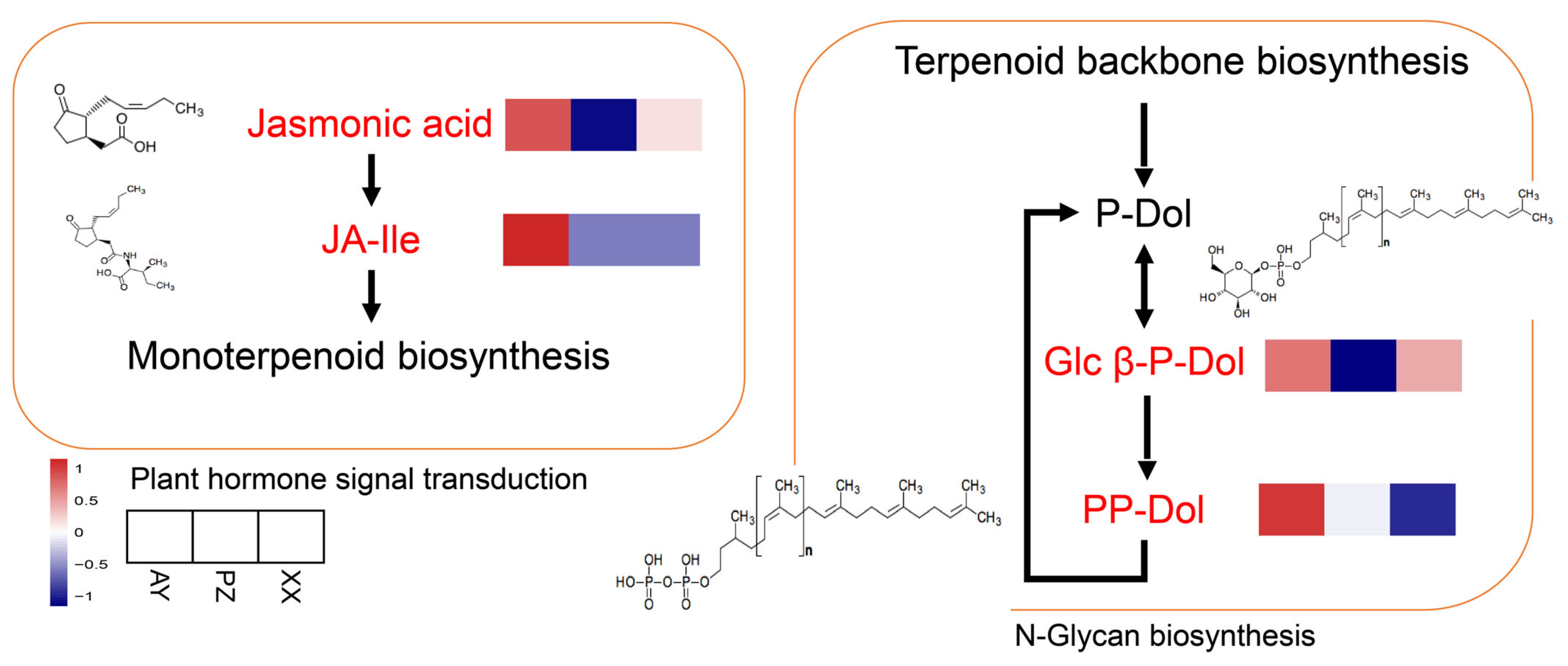 Metabolites 16 00085 g008