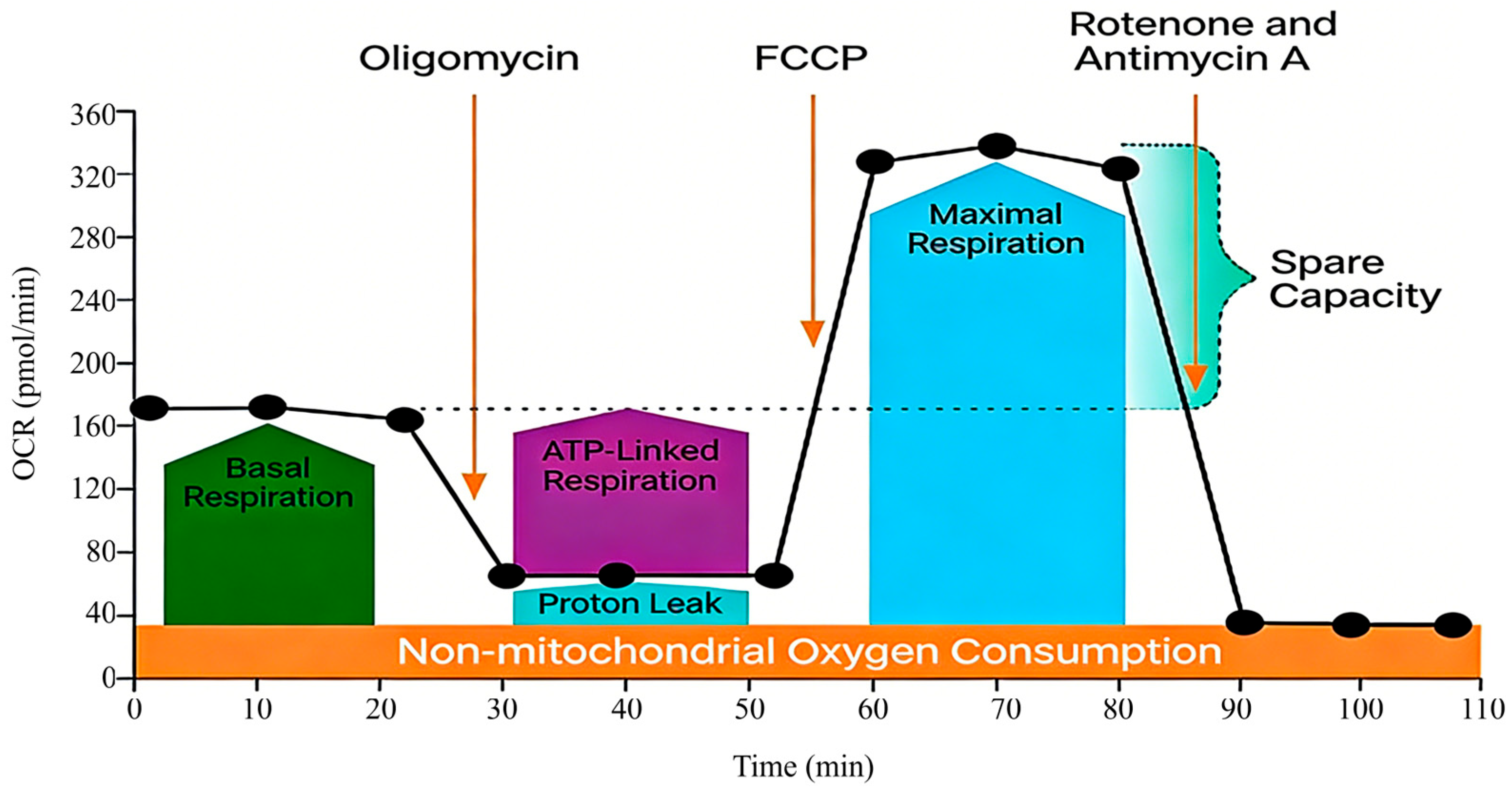 Metabolites 16 00099 g001 Metabolites 16 00099 g001