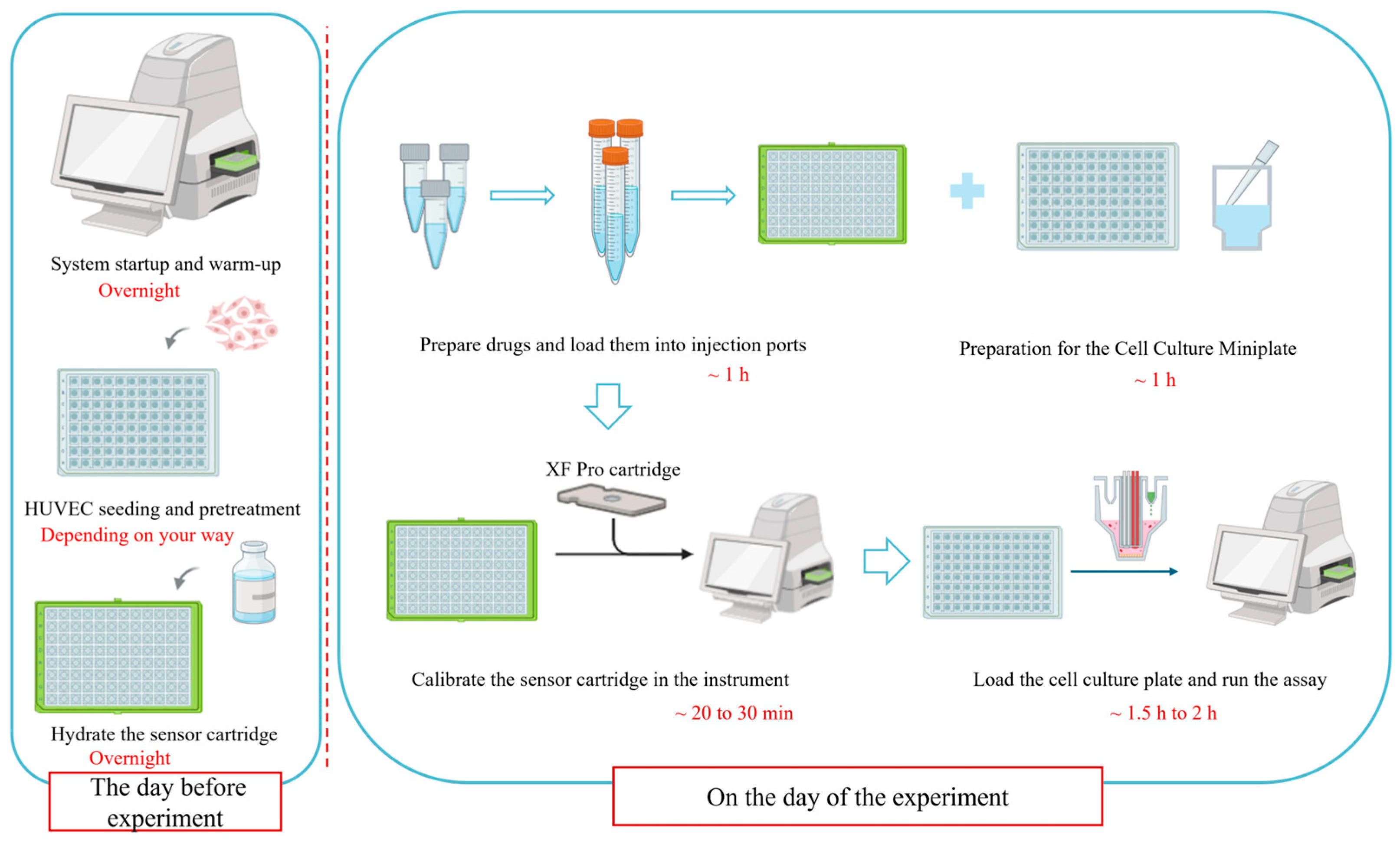 Metabolites 16 00099 g003 Metabolites 16 00099 g003