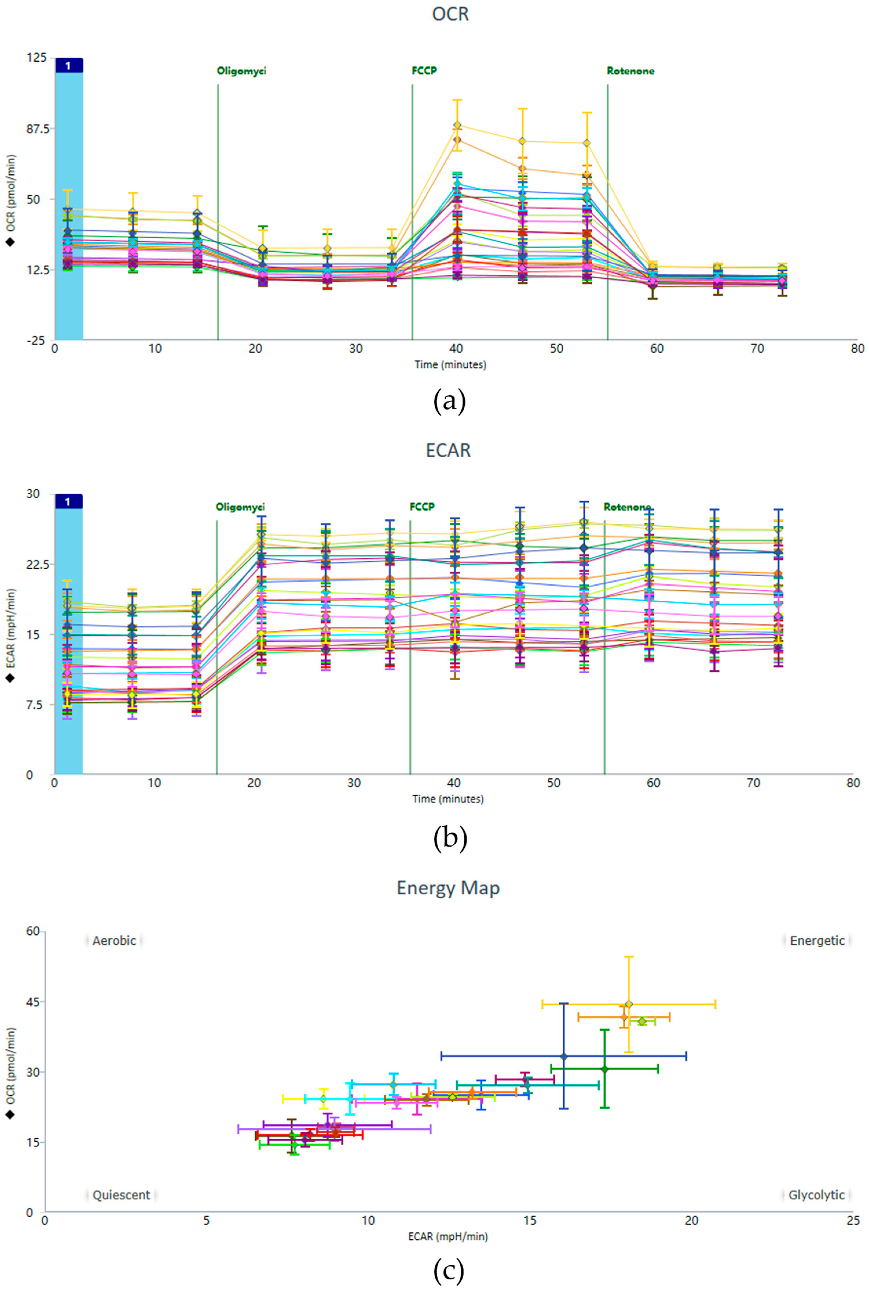 Metabolites 16 00099 g004 Metabolites 16 00099 g004