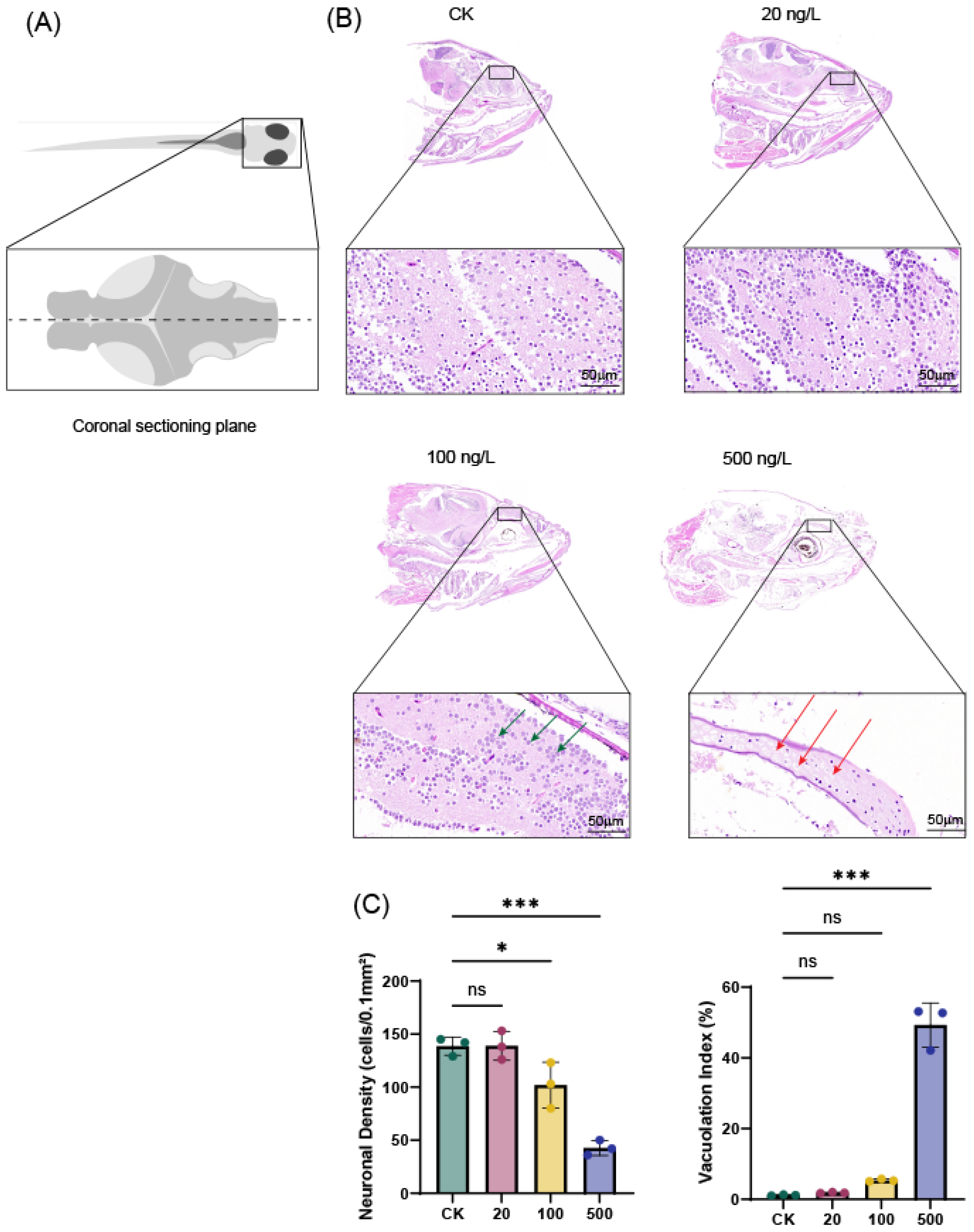 Metabolites 16 00105 g001 Metabolites 16 00105 g001