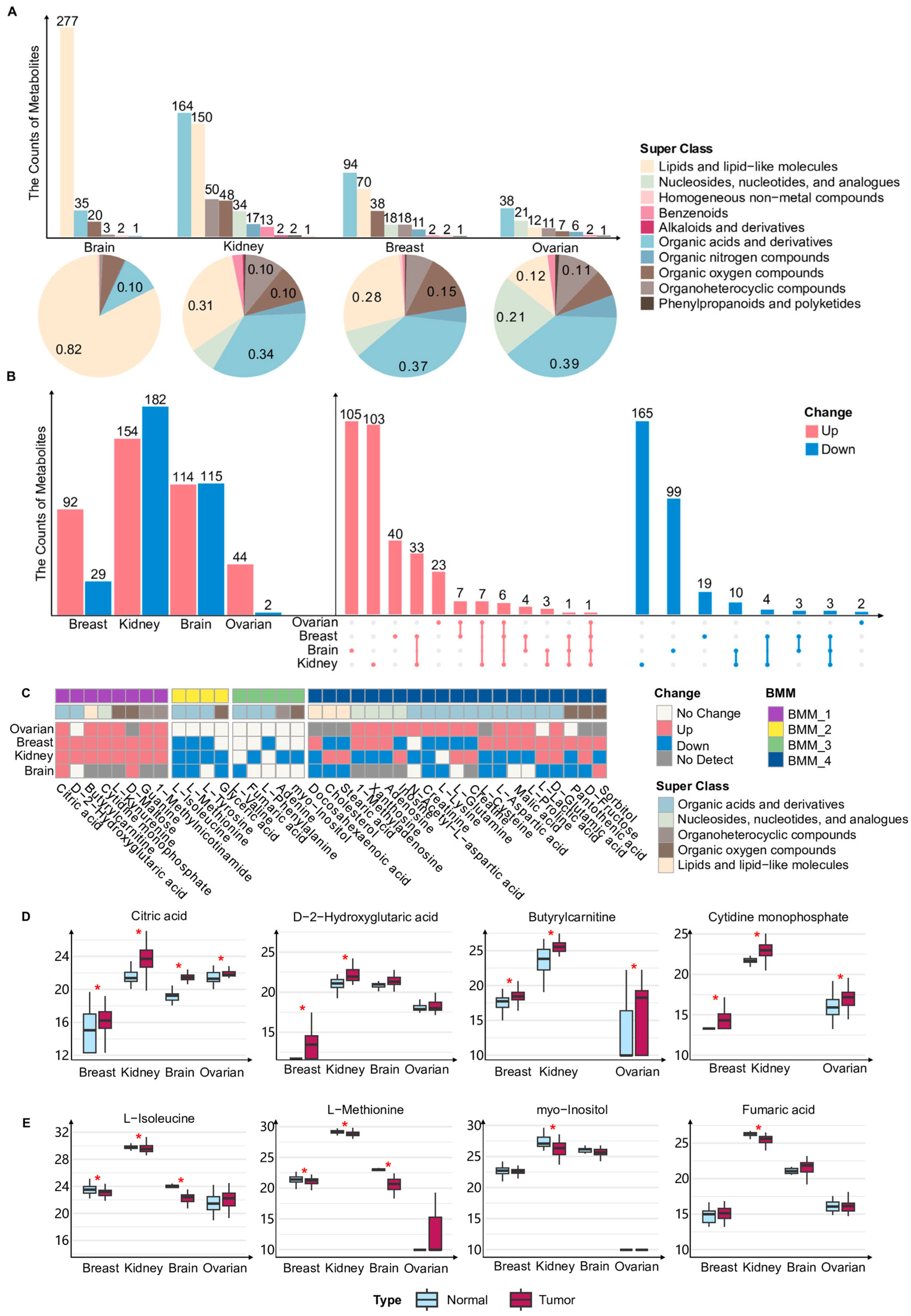 Metabolites 16 00129 g001