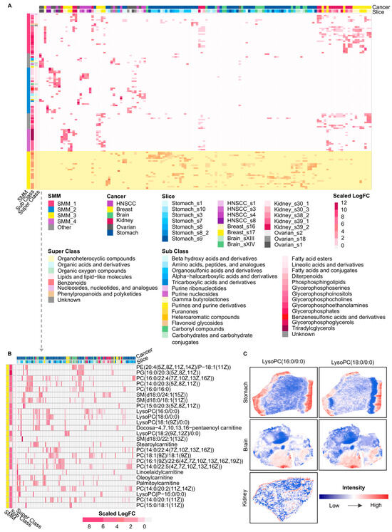 Metabolites 16 00129 g003