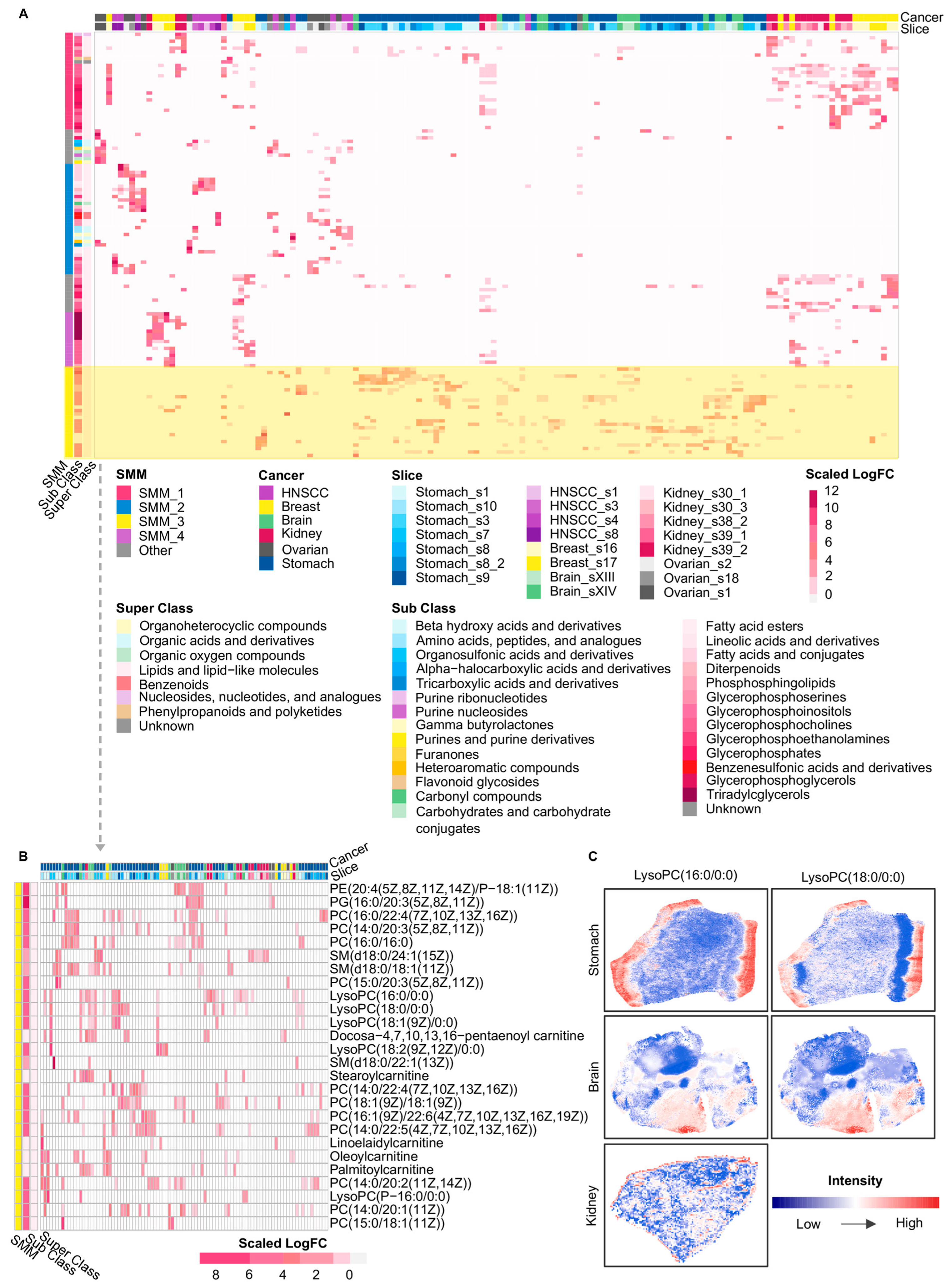 Metabolites 16 00129 g003