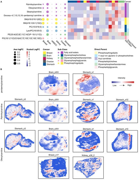 Metabolites 16 00129 g004