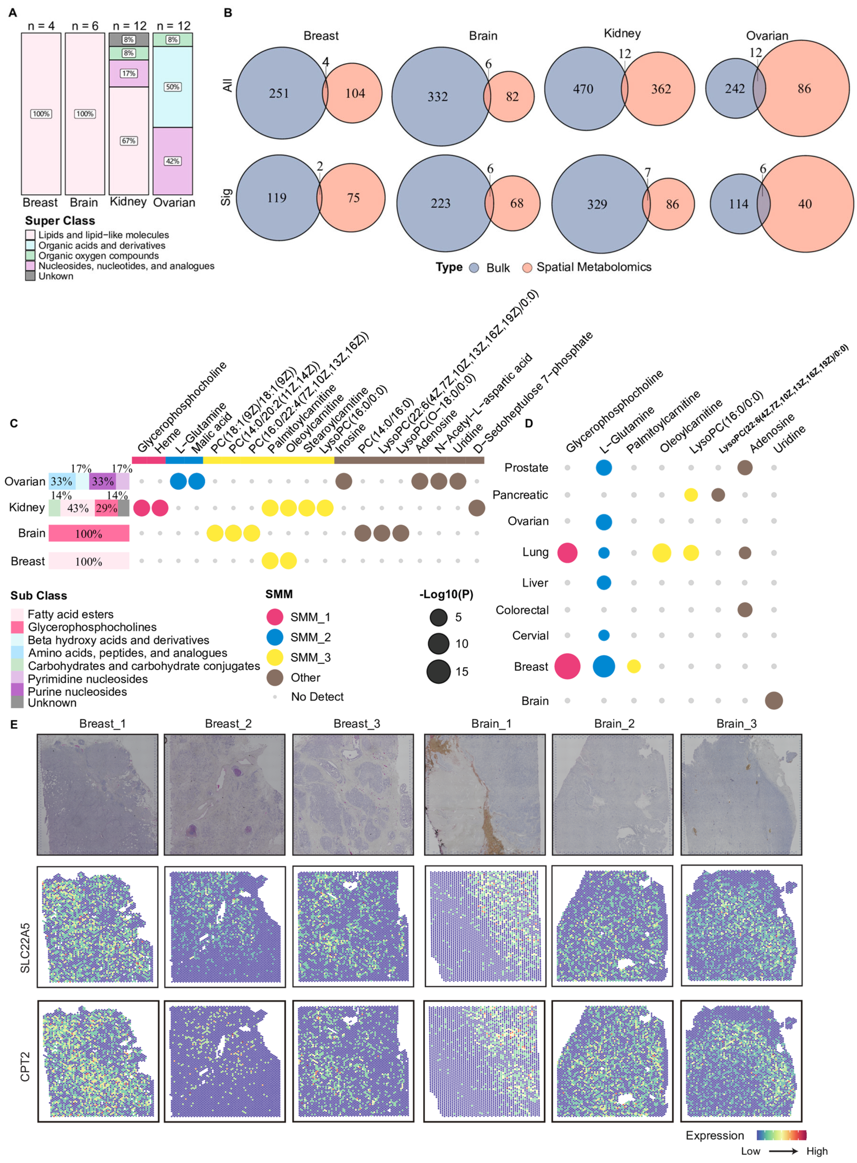 Metabolites 16 00129 g005
