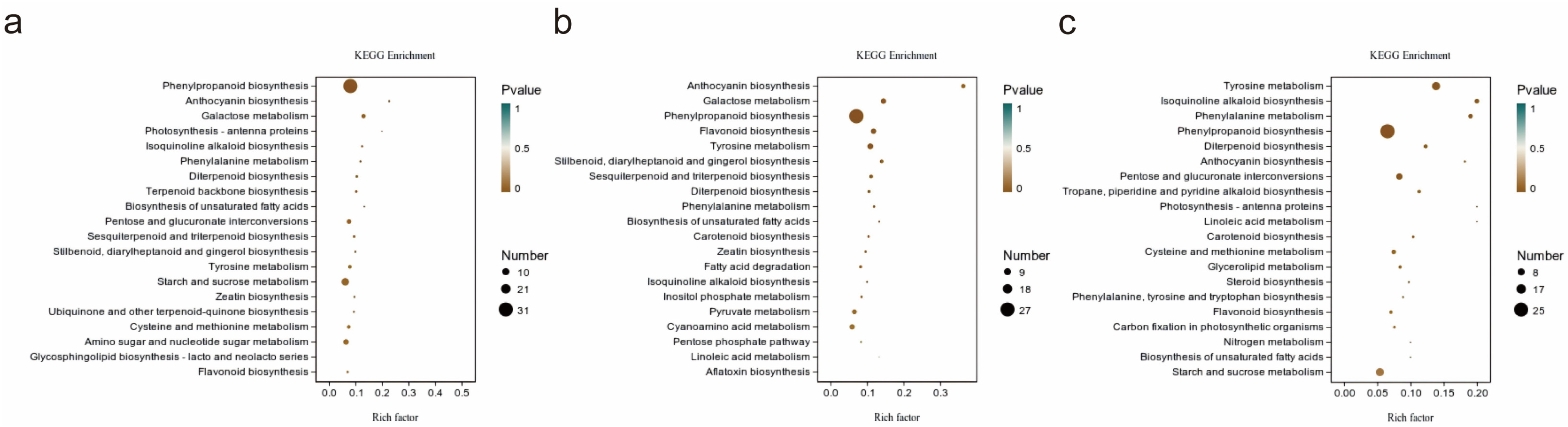 Metabolites 16 00130 g003 Metabolites 16 00130 g003