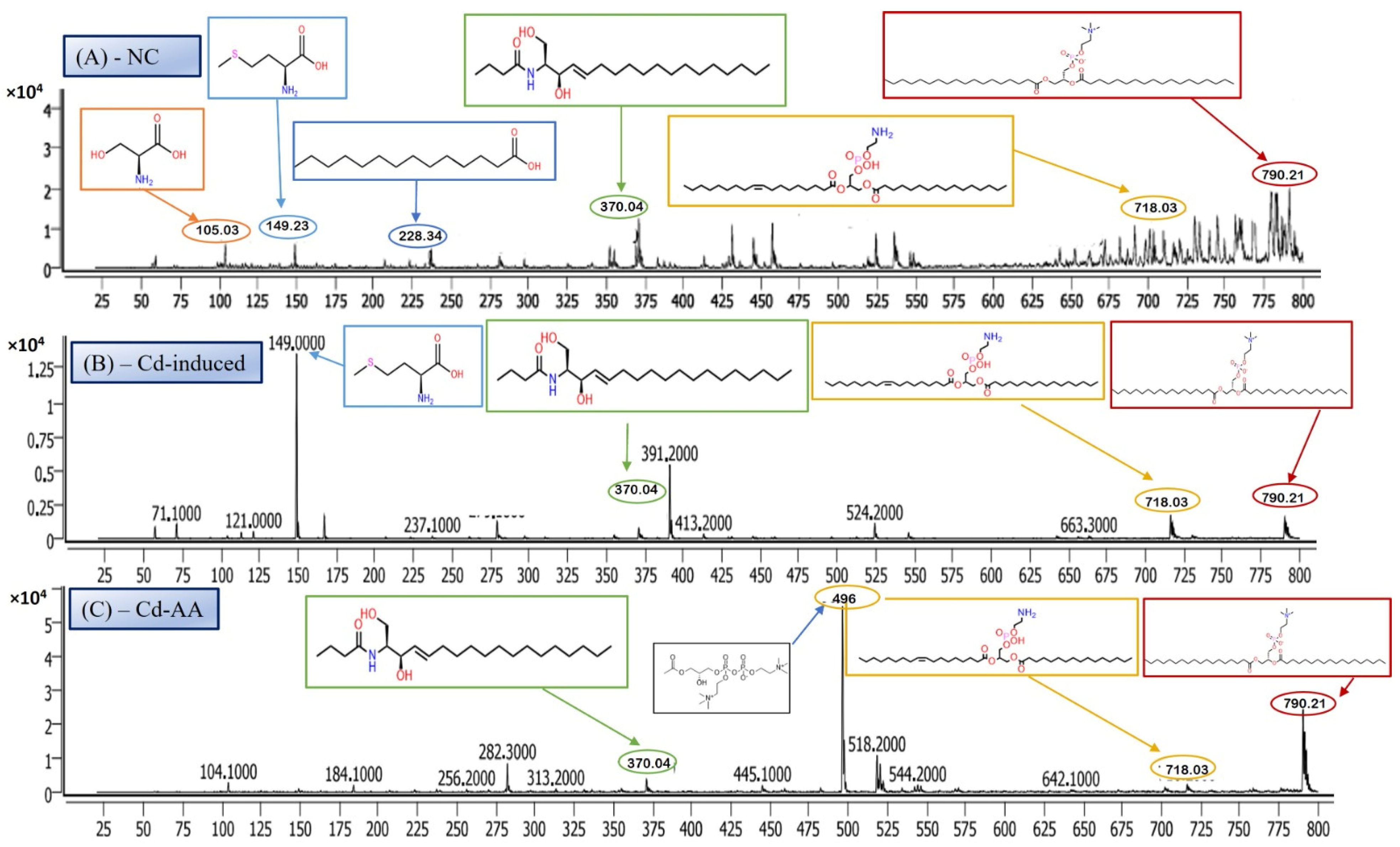 Metabolites 16 00155 g004
