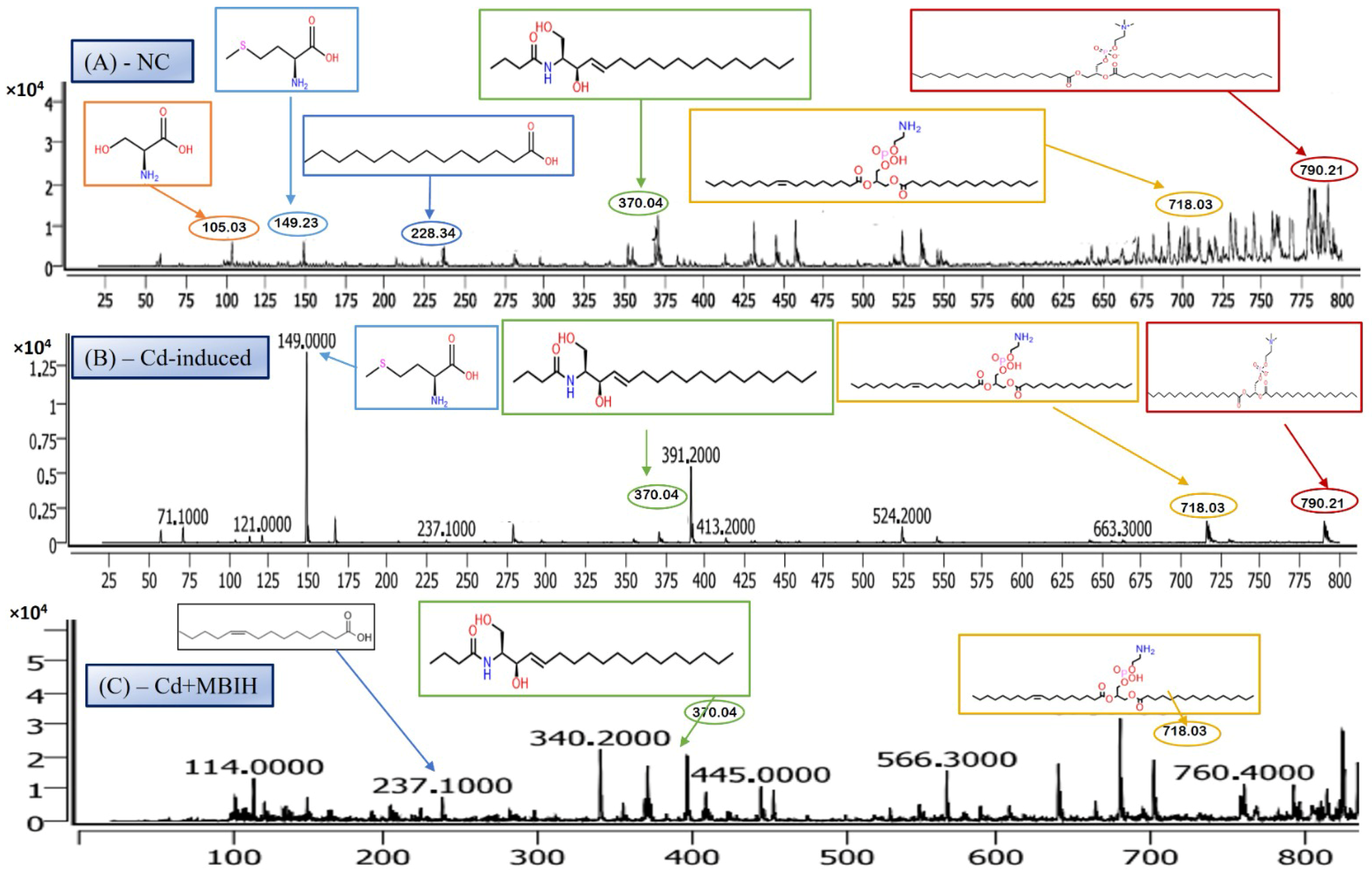 Metabolites 16 00155 g005