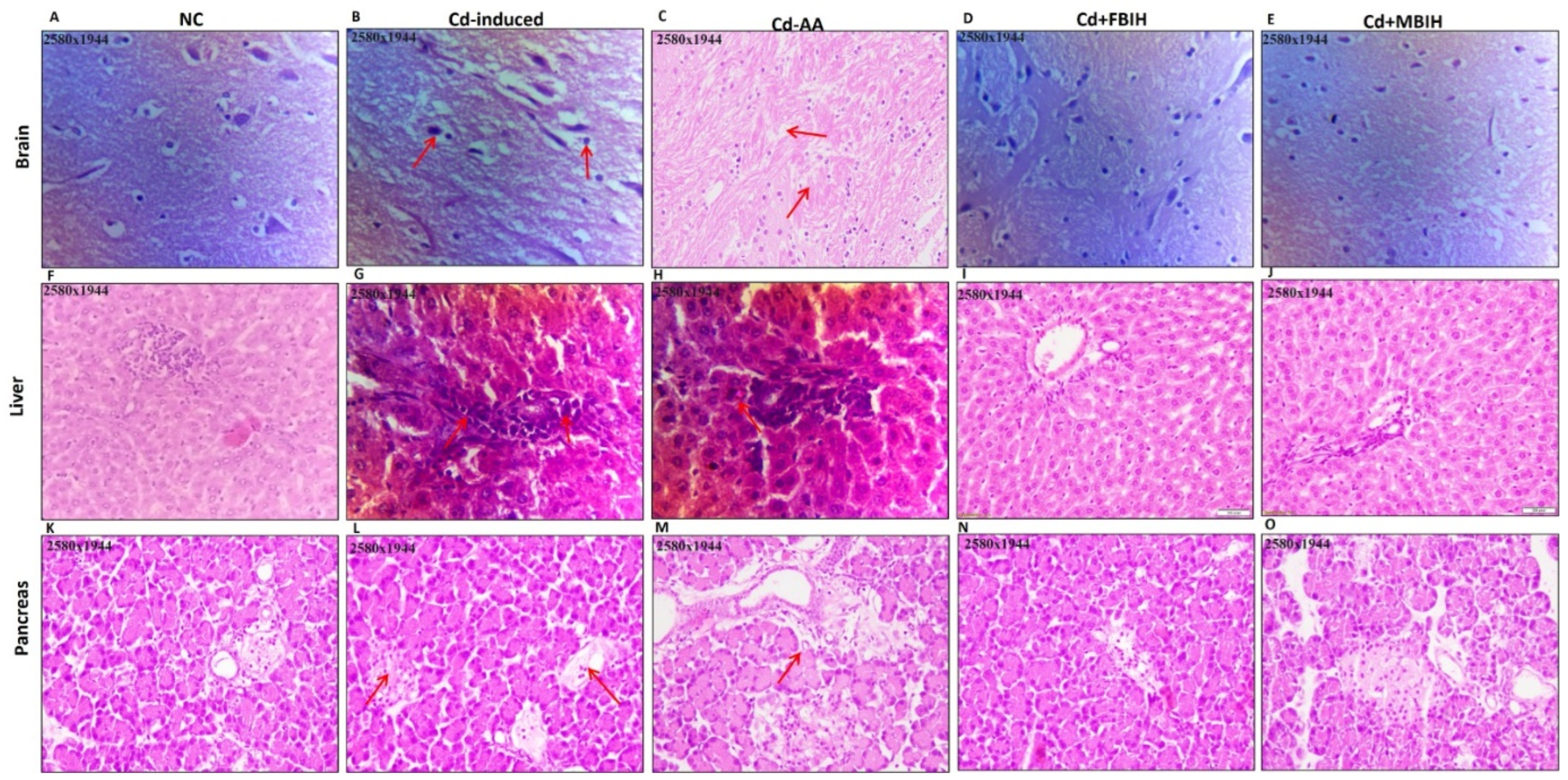 Metabolites 16 00155 g007