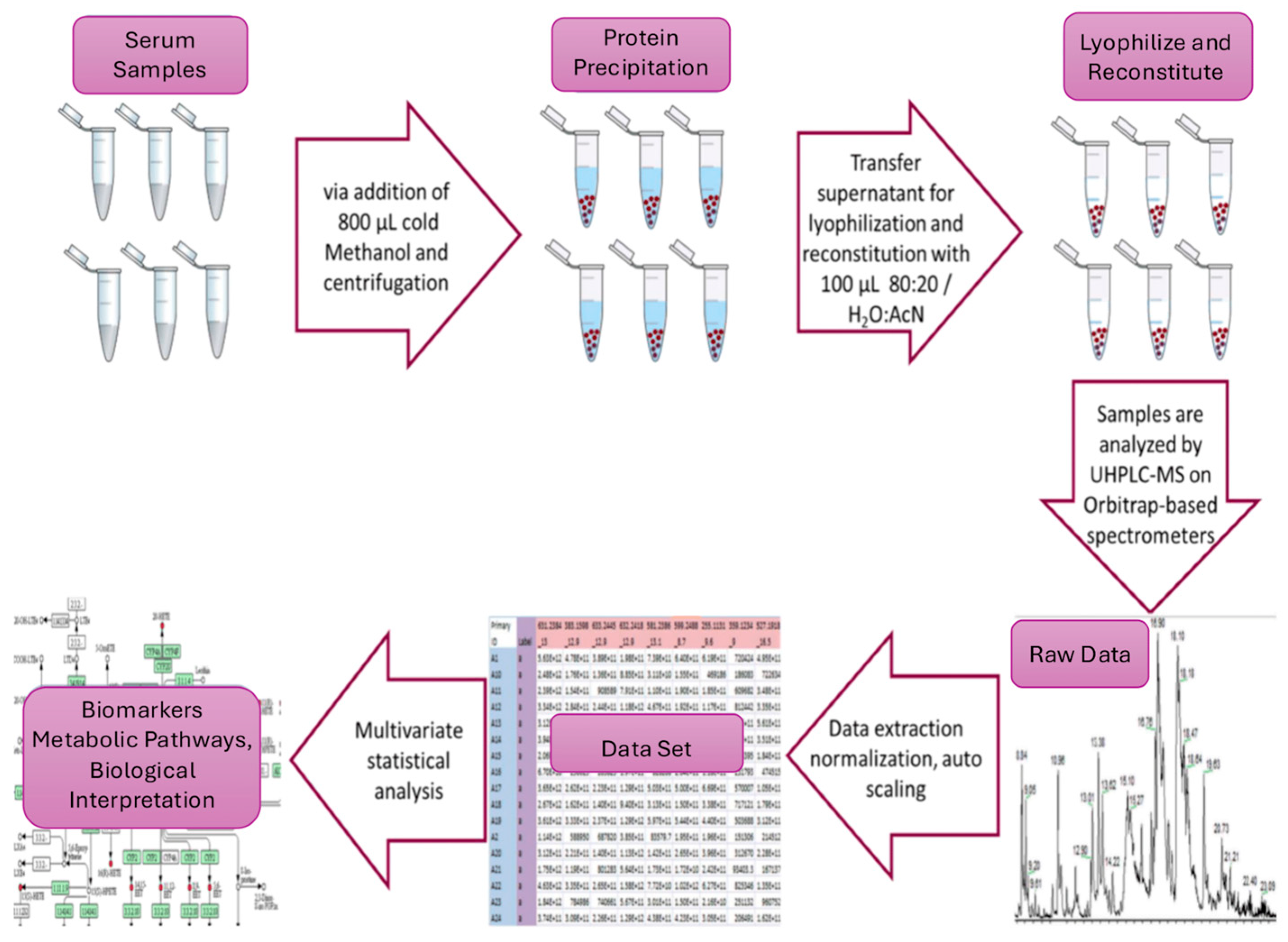 Metabolites 16 00170 g001 Metabolites 16 00170 g001