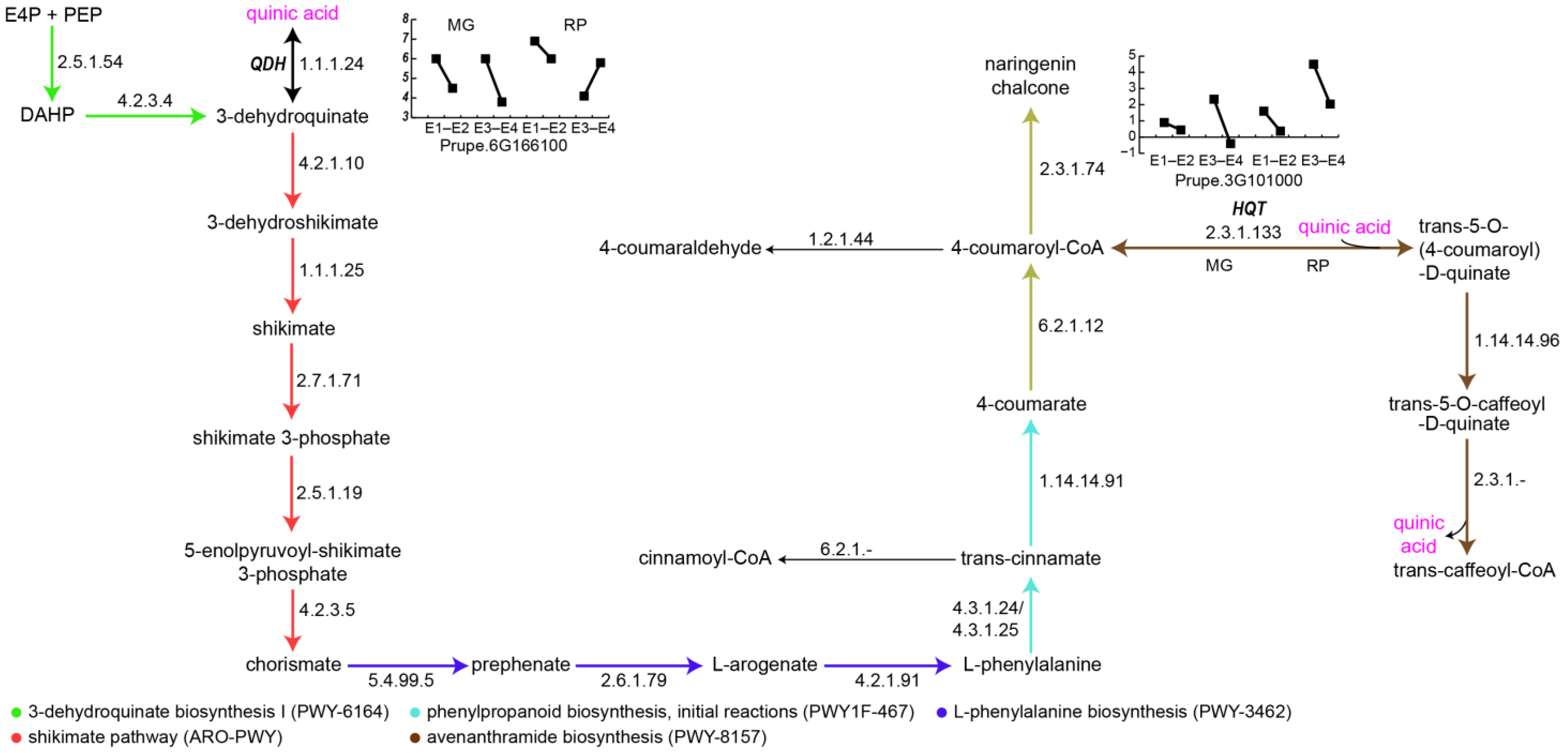 Metabolites 16 00191 g006 Metabolites 16 00191 g006