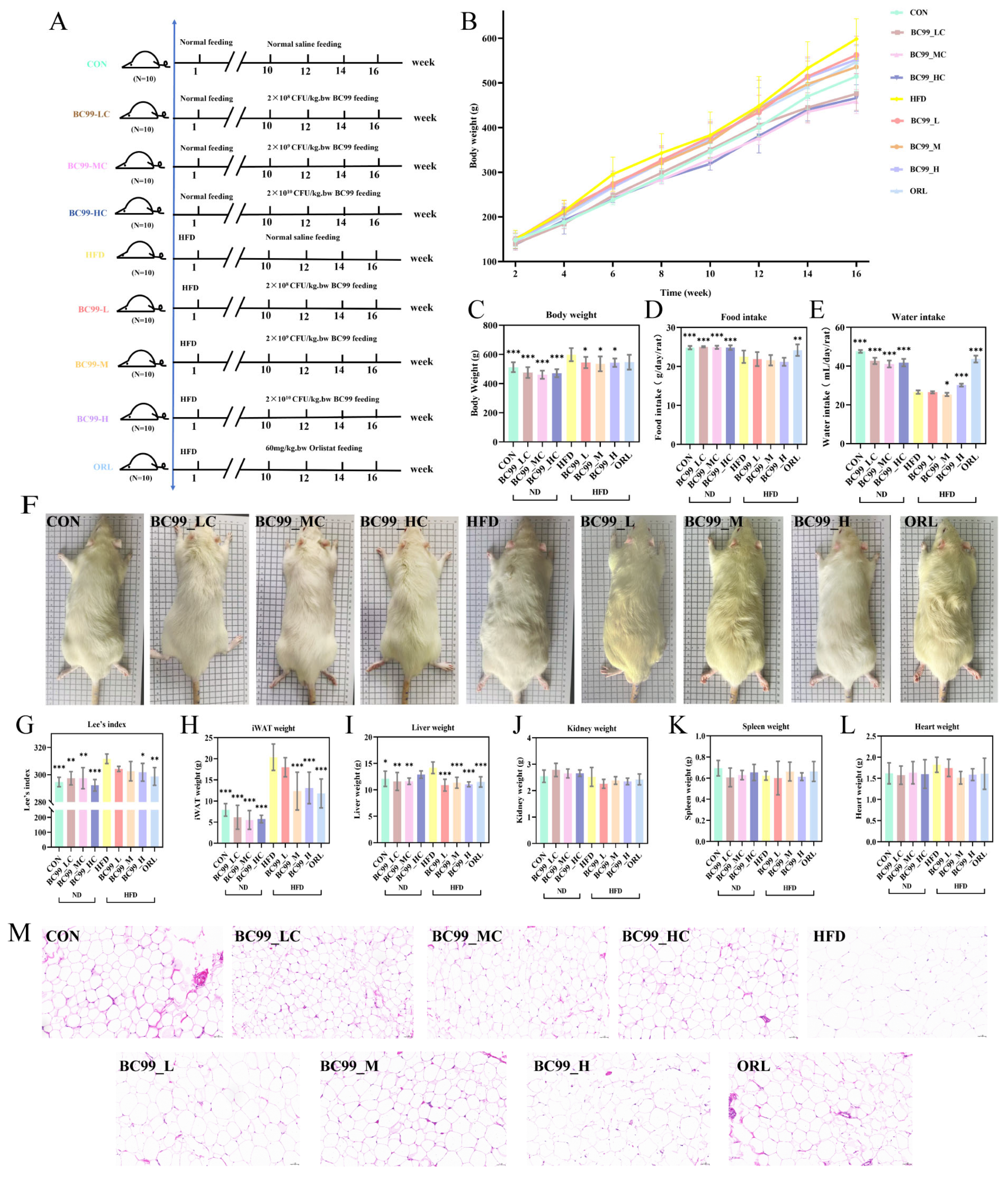 Metabolites 16 00228 g001
