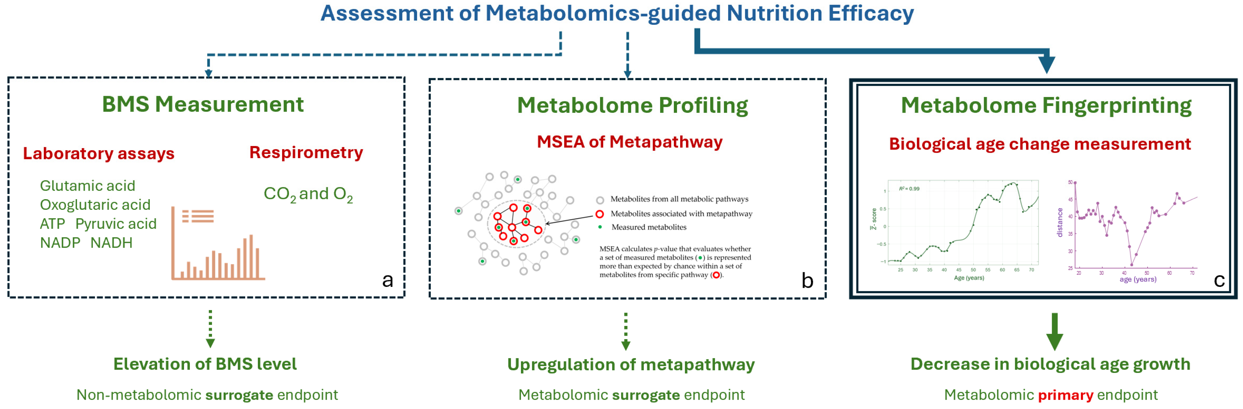 Metabolites 16 00241 g010 Metabolites 16 00241 g010
