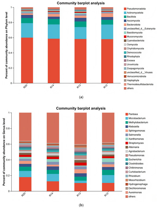 Metabolites 16 00302 g008a Metabolites 16 00302 g008a