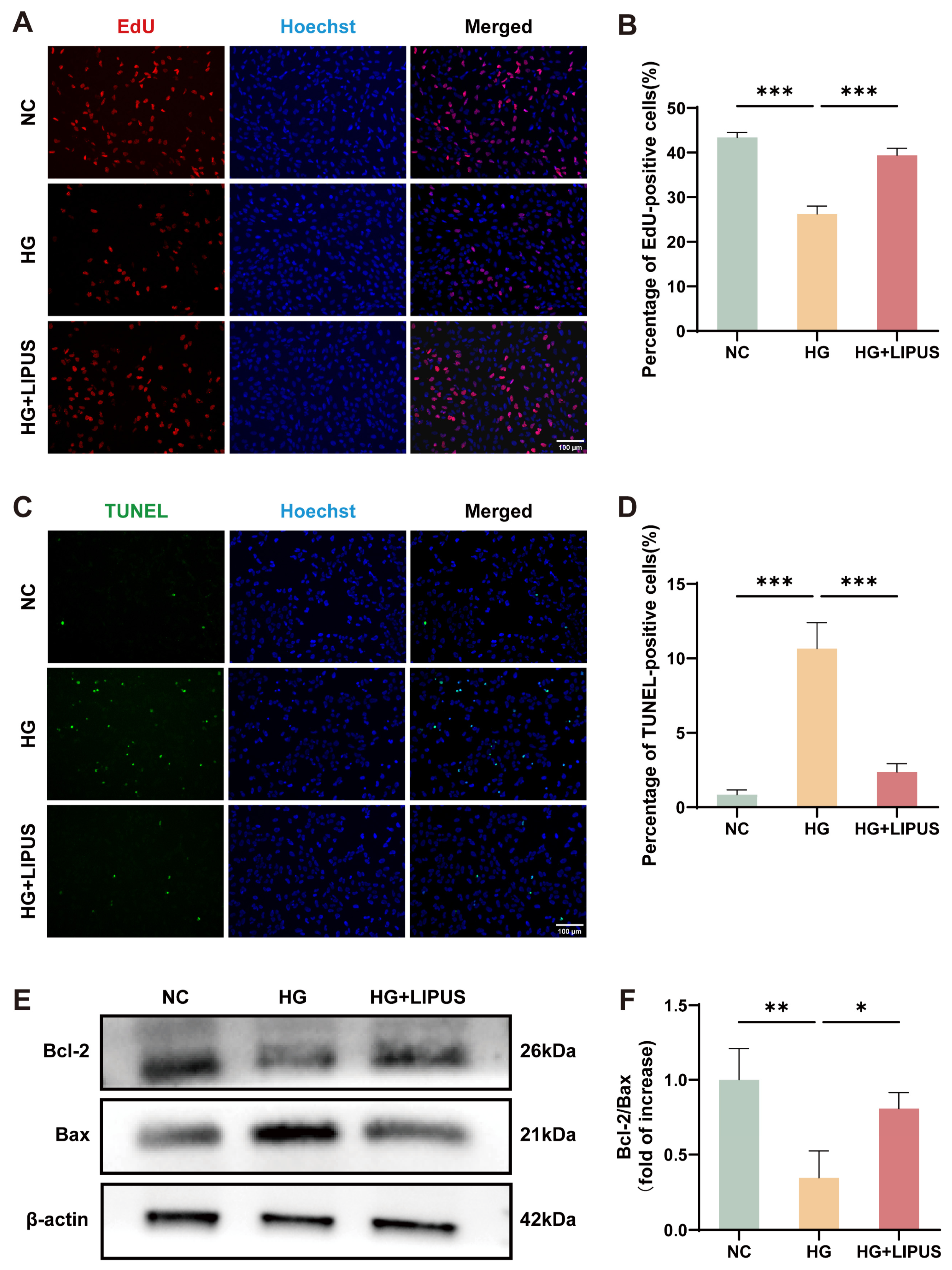 Metabolites 16 00329 g004 Metabolites 16 00329 g004
