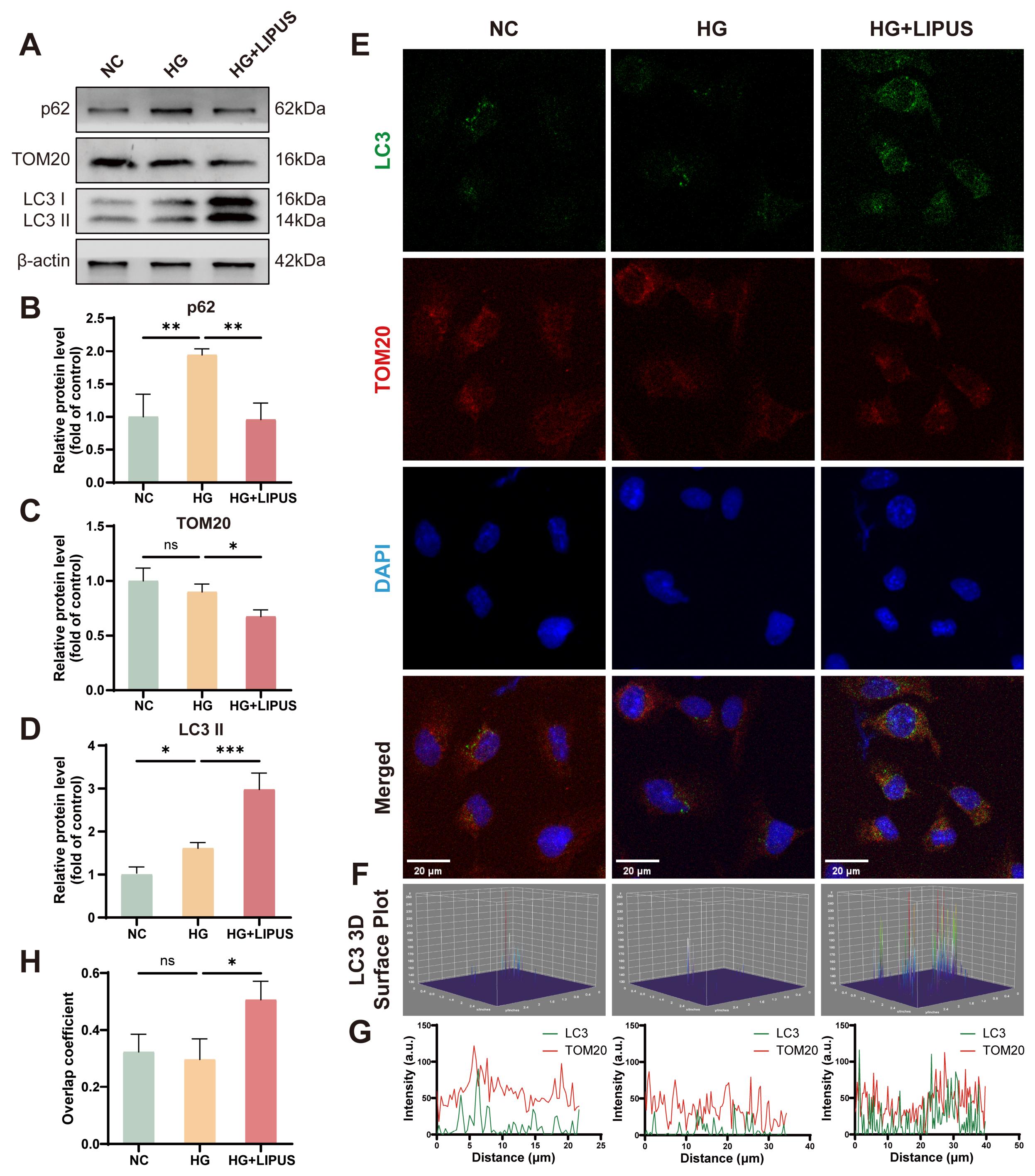 Metabolites 16 00329 g005 Metabolites 16 00329 g005