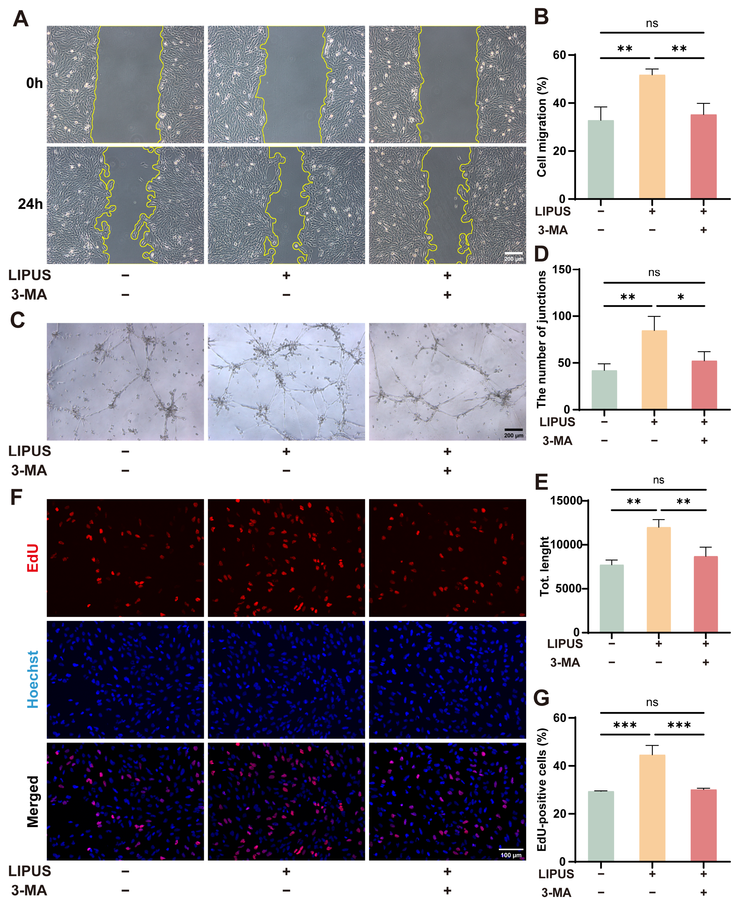 Metabolites 16 00329 g006 Metabolites 16 00329 g006
